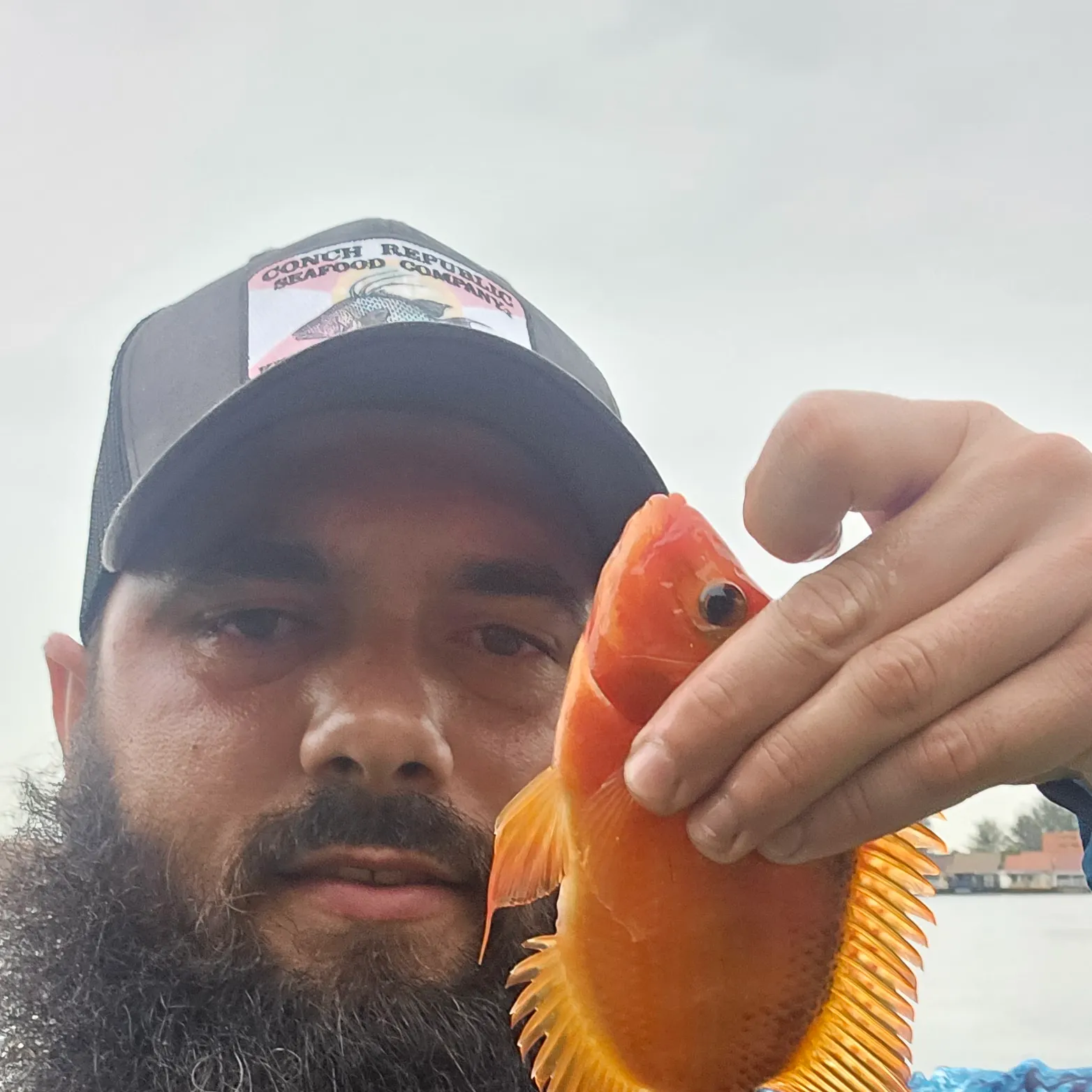 most liked catch image