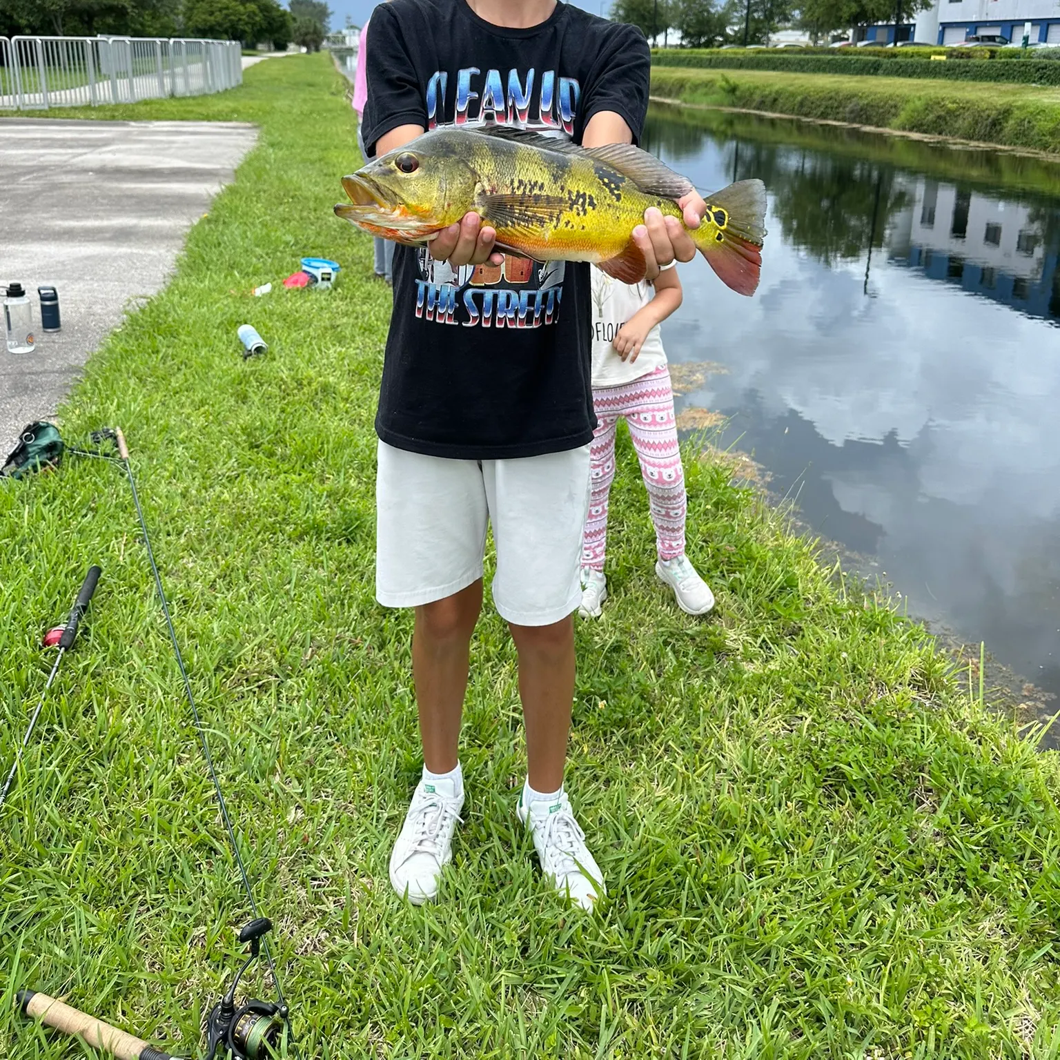 The most recent Butterfly peacock bass catches on Fishbrain