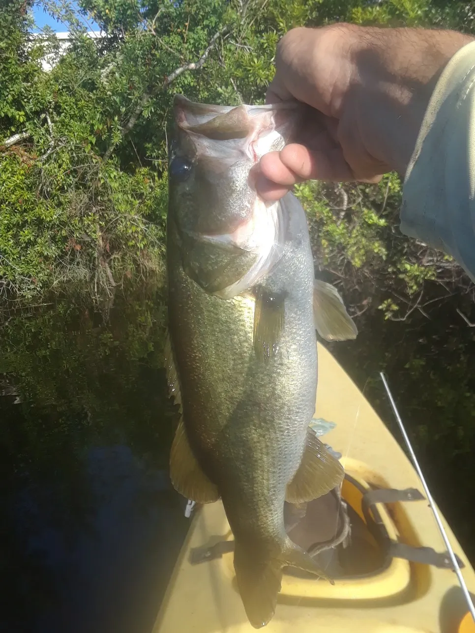 Post image from jacob.middleton