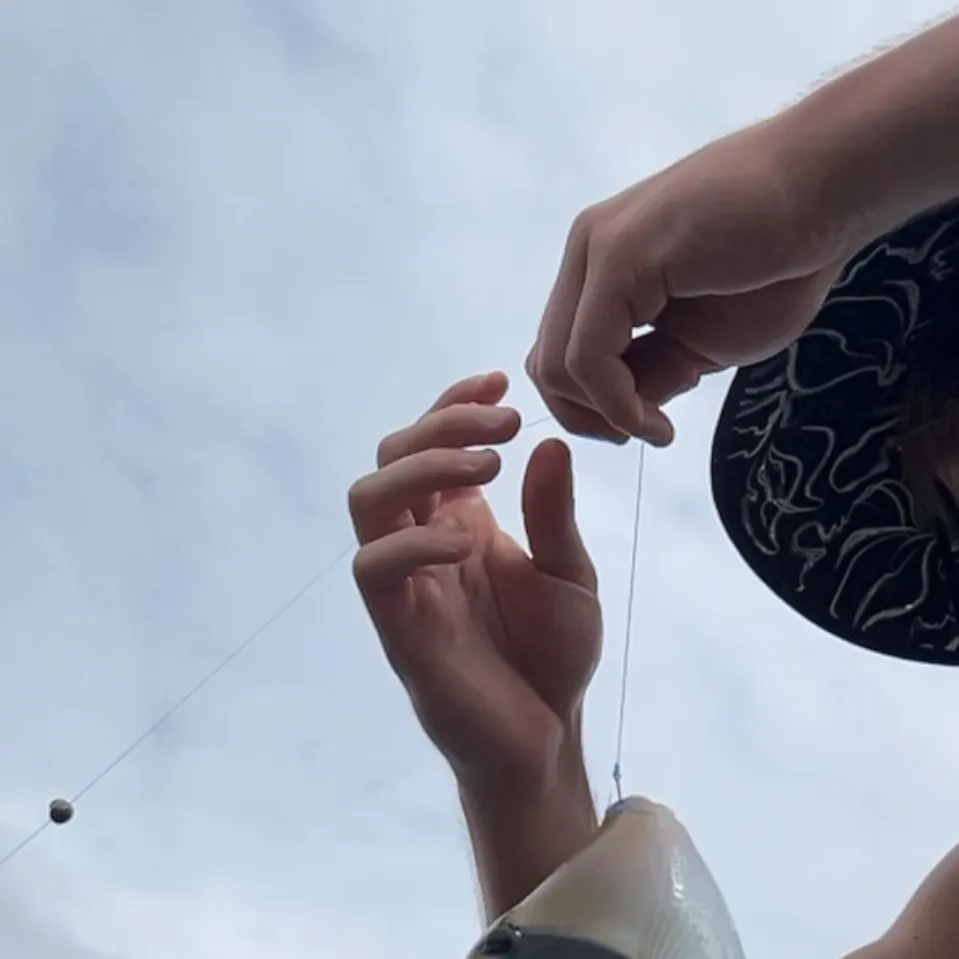 The most recent Wedge-tail triggerfish catches on Fishbrain