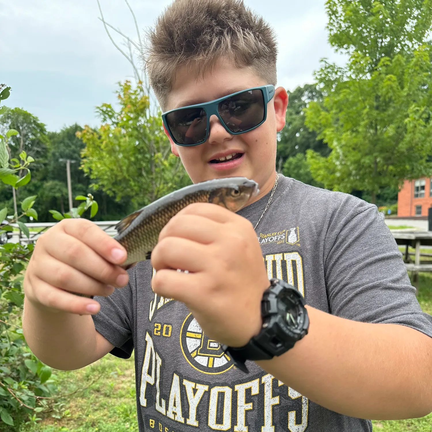 The most recent Fallfish catches on Fishbrain
