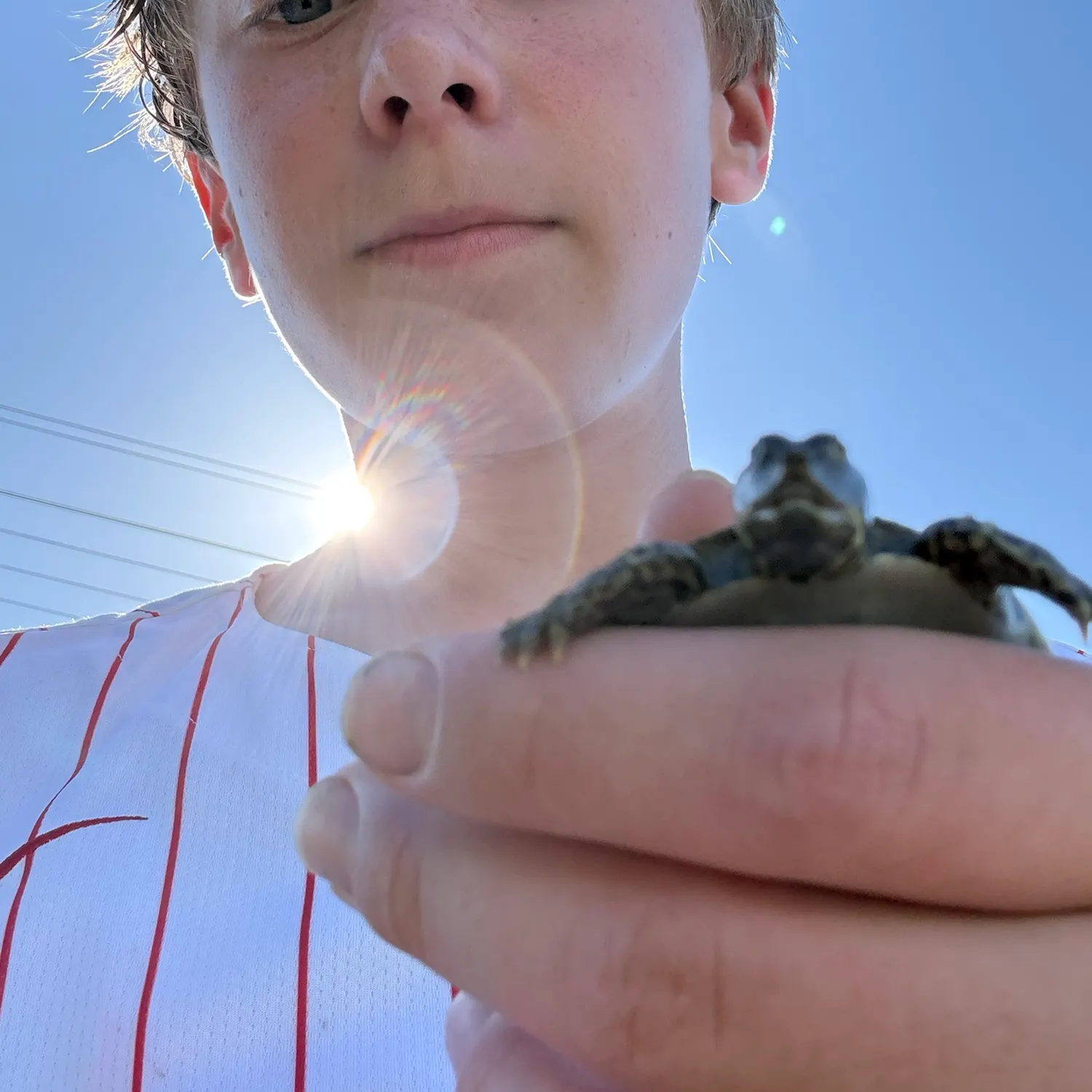 Fish caught on Fishbrain