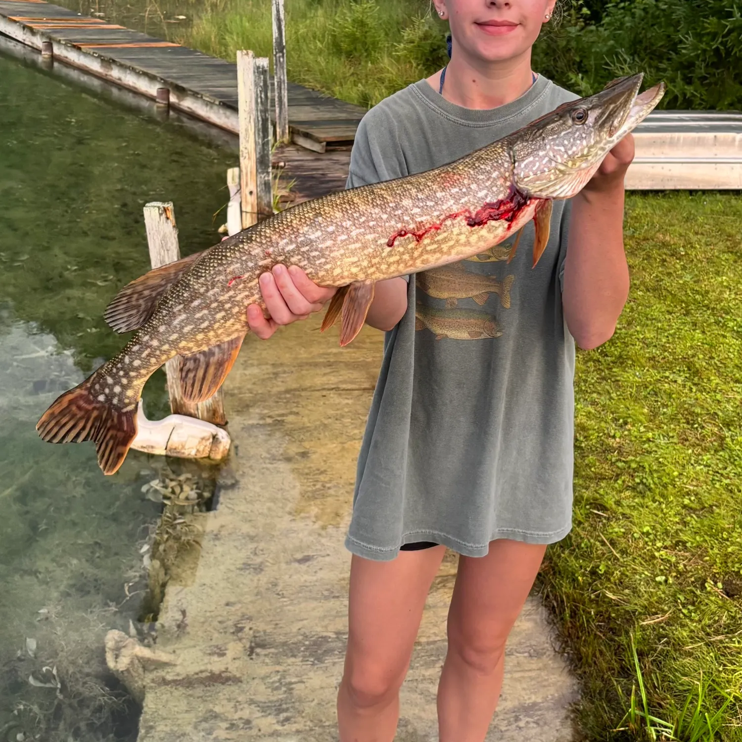 Northern pike caught on Fishbrain