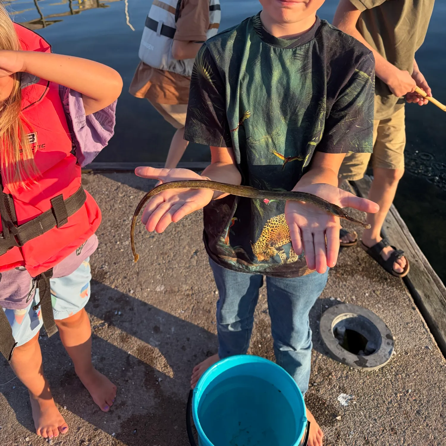 The most recent Syngnathus acus catches on Fishbrain