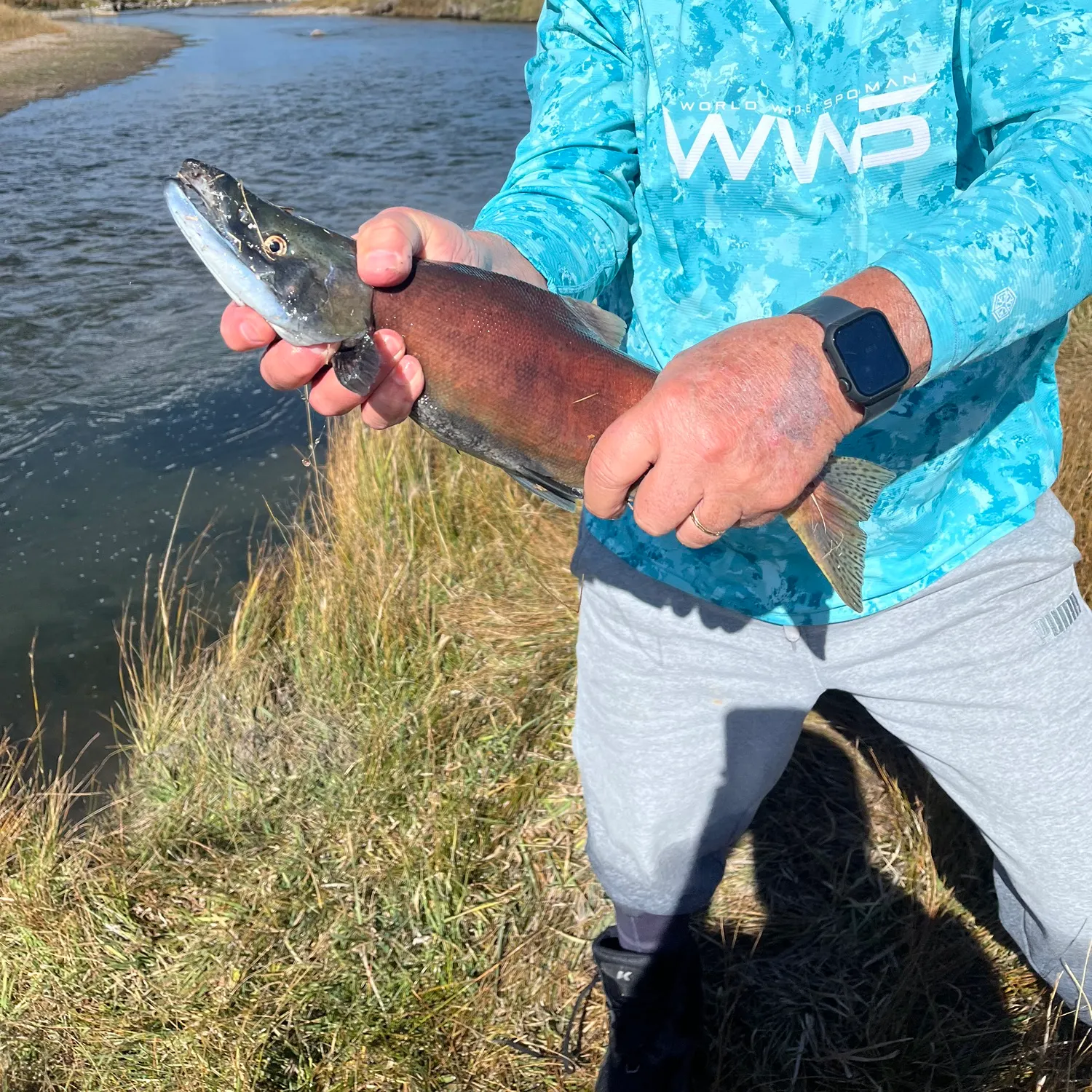 Kokanee salmon caught on Fishbrain