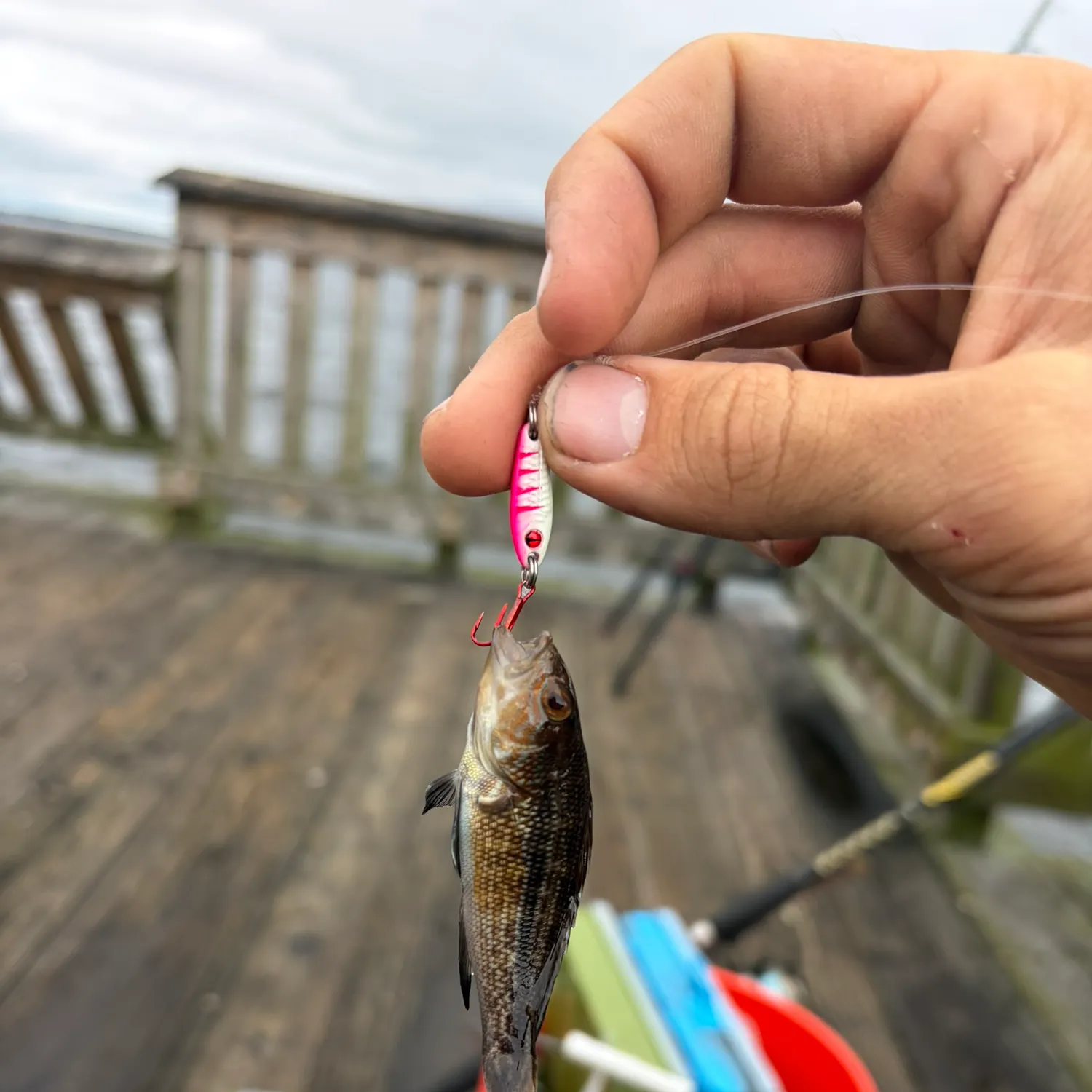 catch