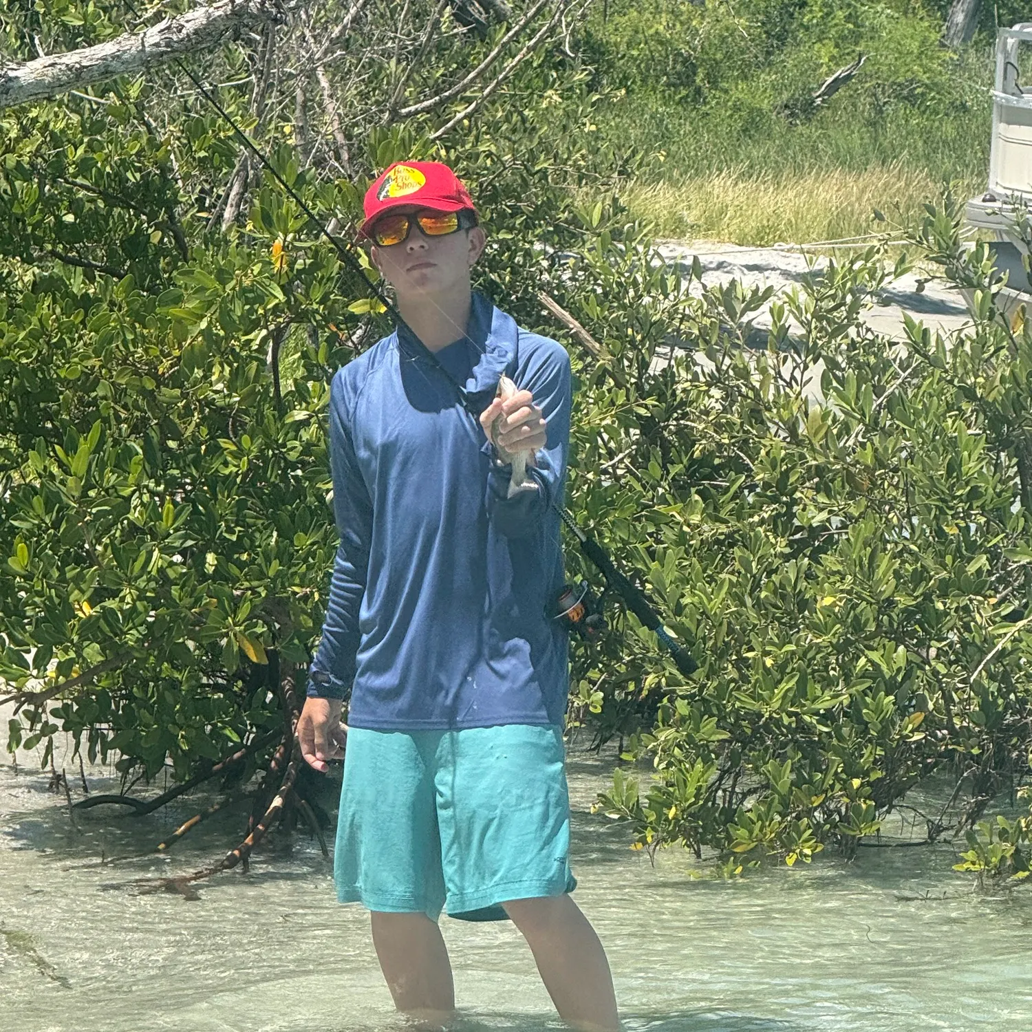 Mangrove snapper caught on Fishbrain