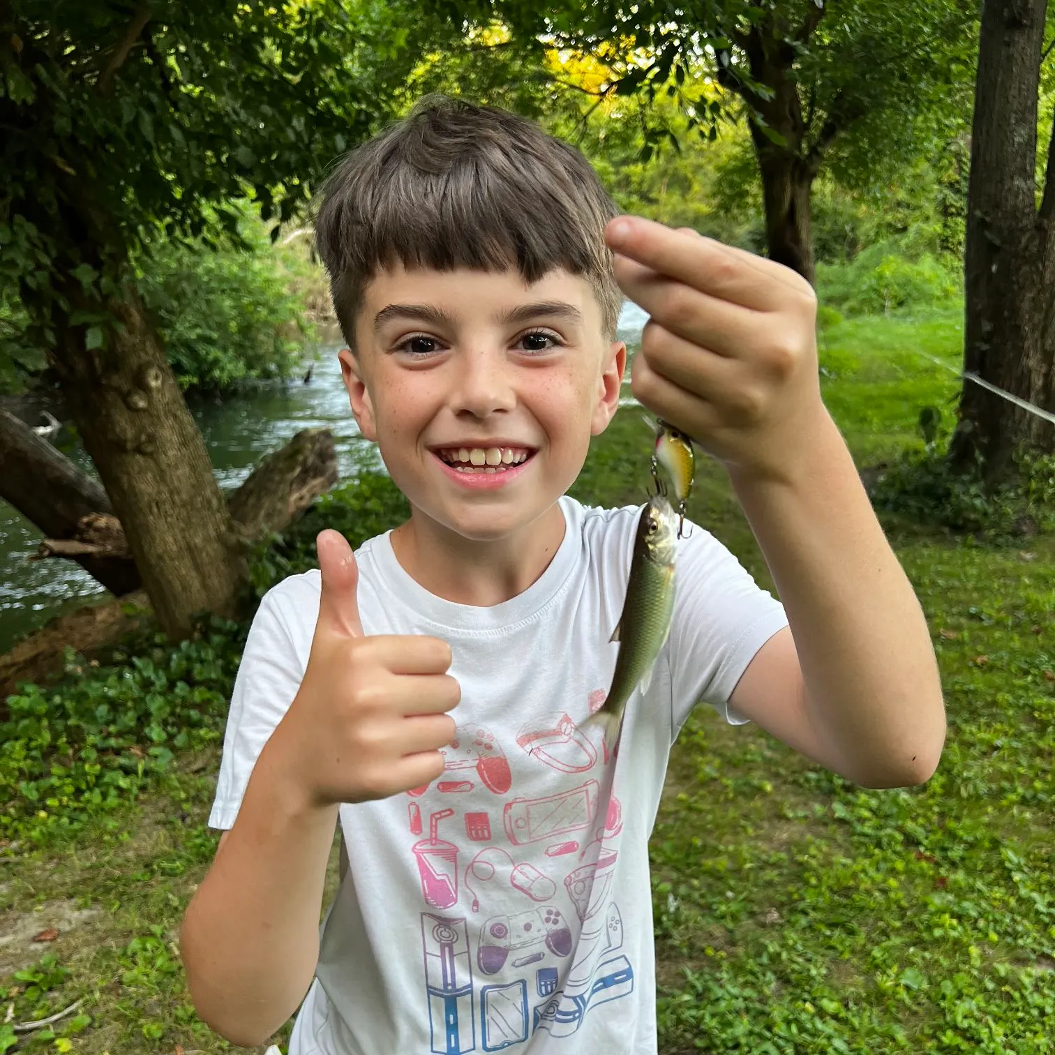 The most recent Spottail shiner catches on Fishbrain