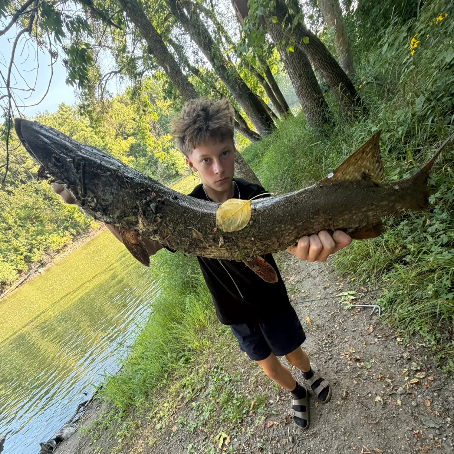 catch