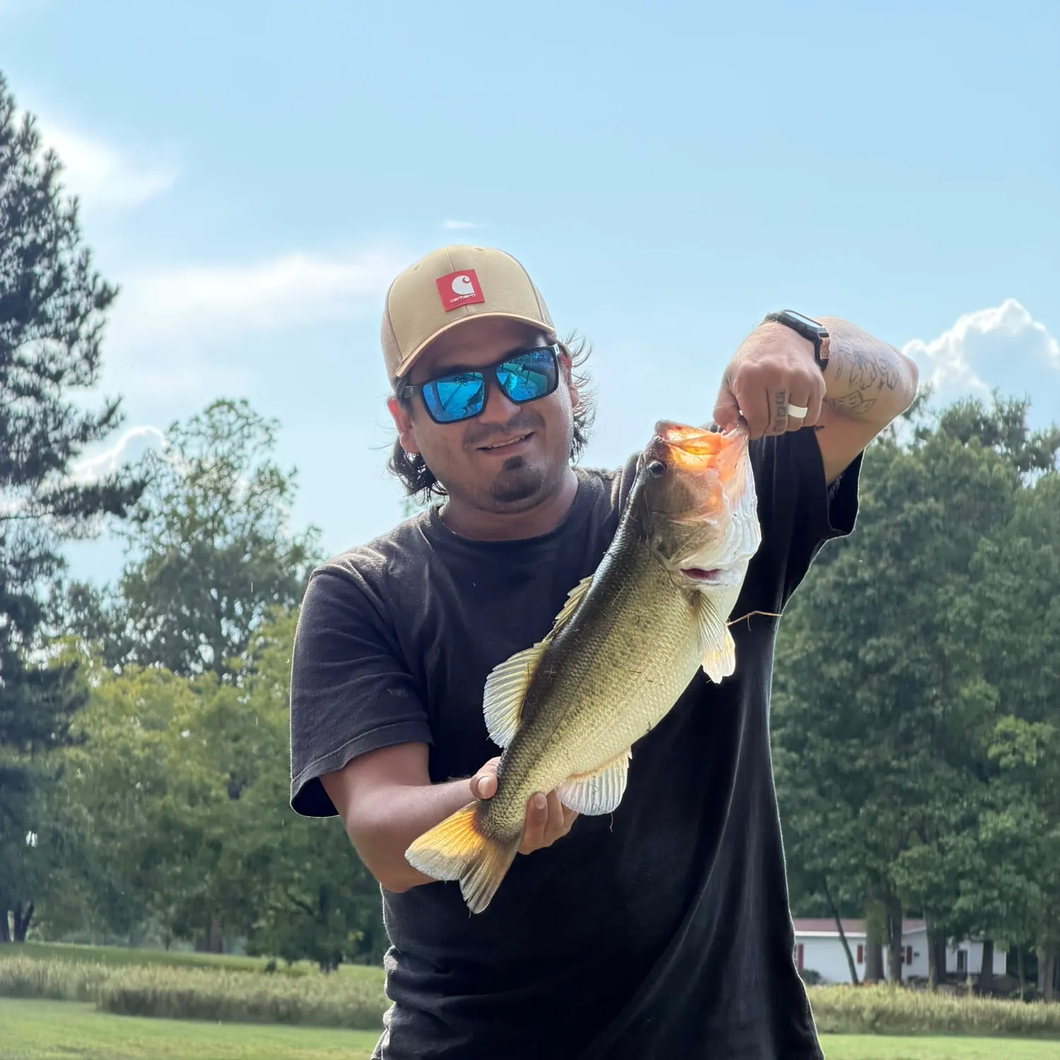 Largemouth bass caught on Fishbrain