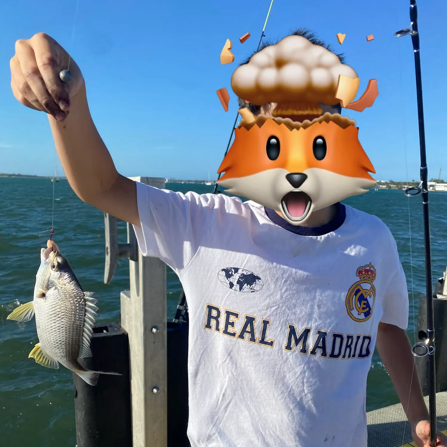 Surf bream caught on Fishbrain