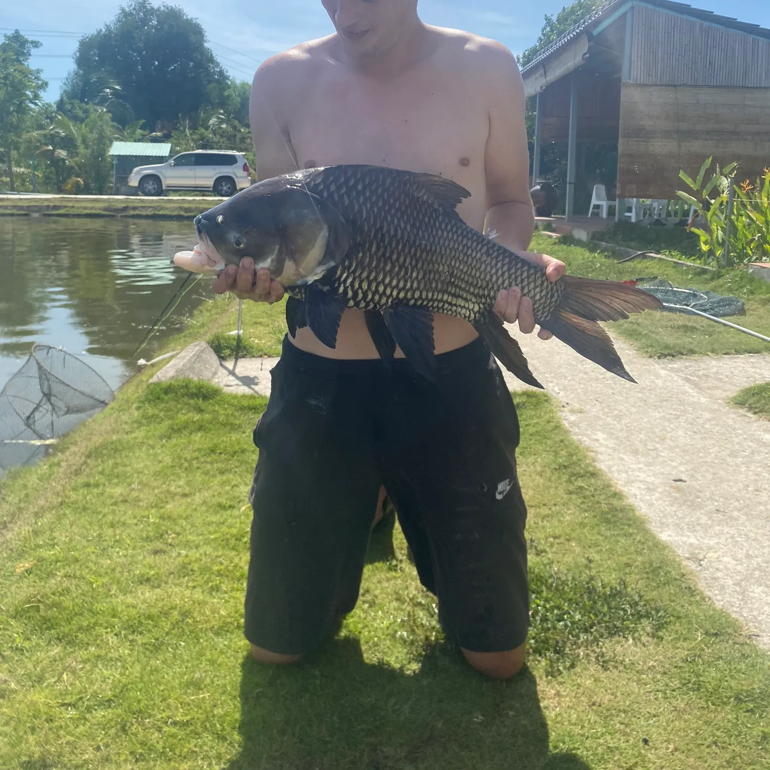 most liked catch image