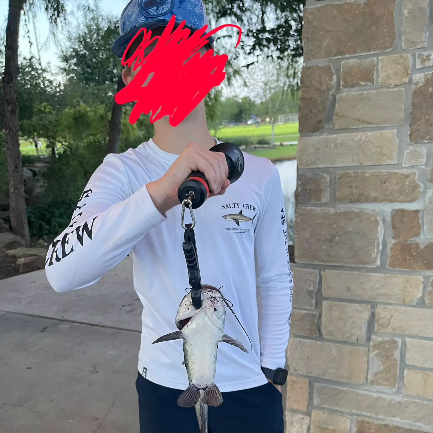 Black bullhead caught on Fishbrain