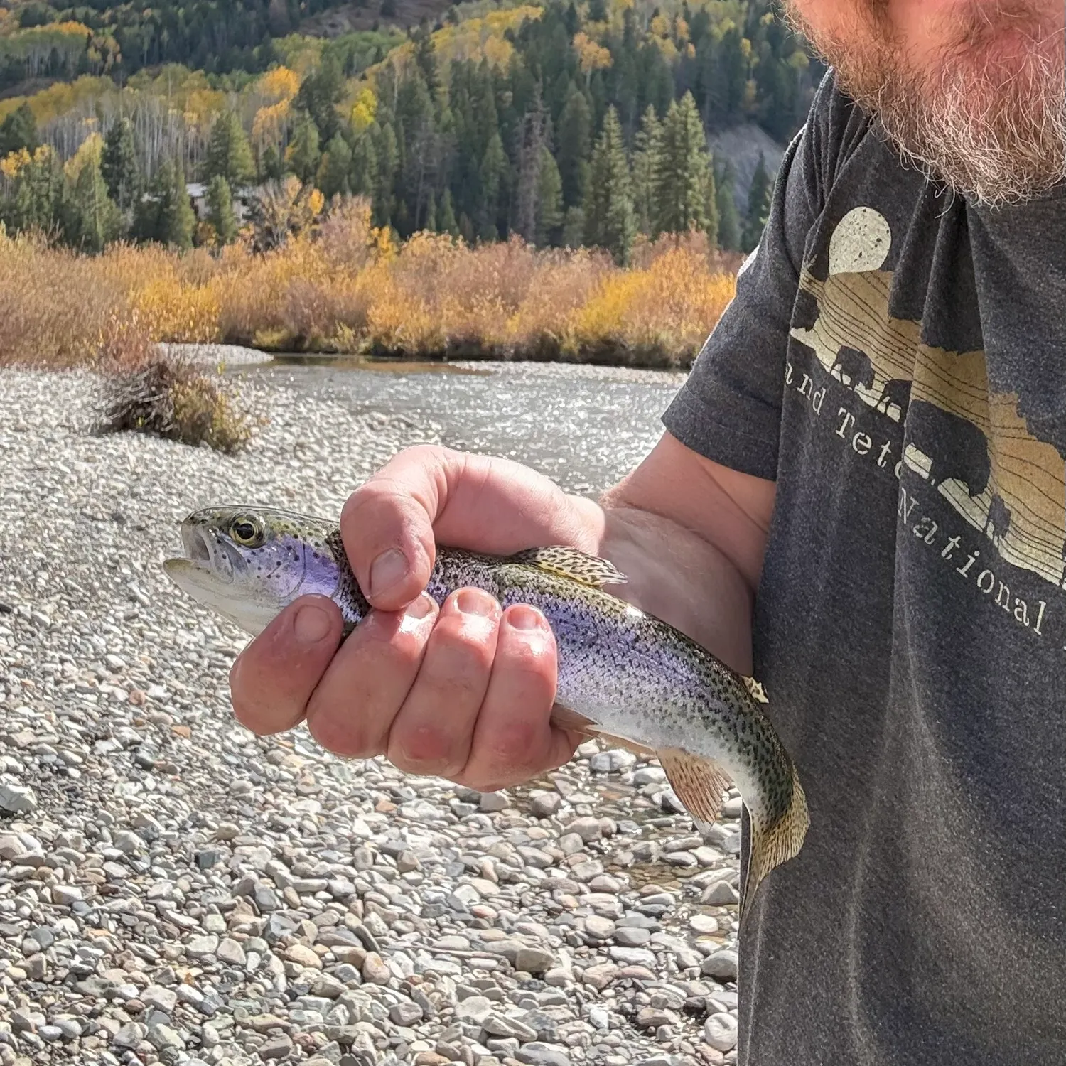 Fish caught on Fishbrain