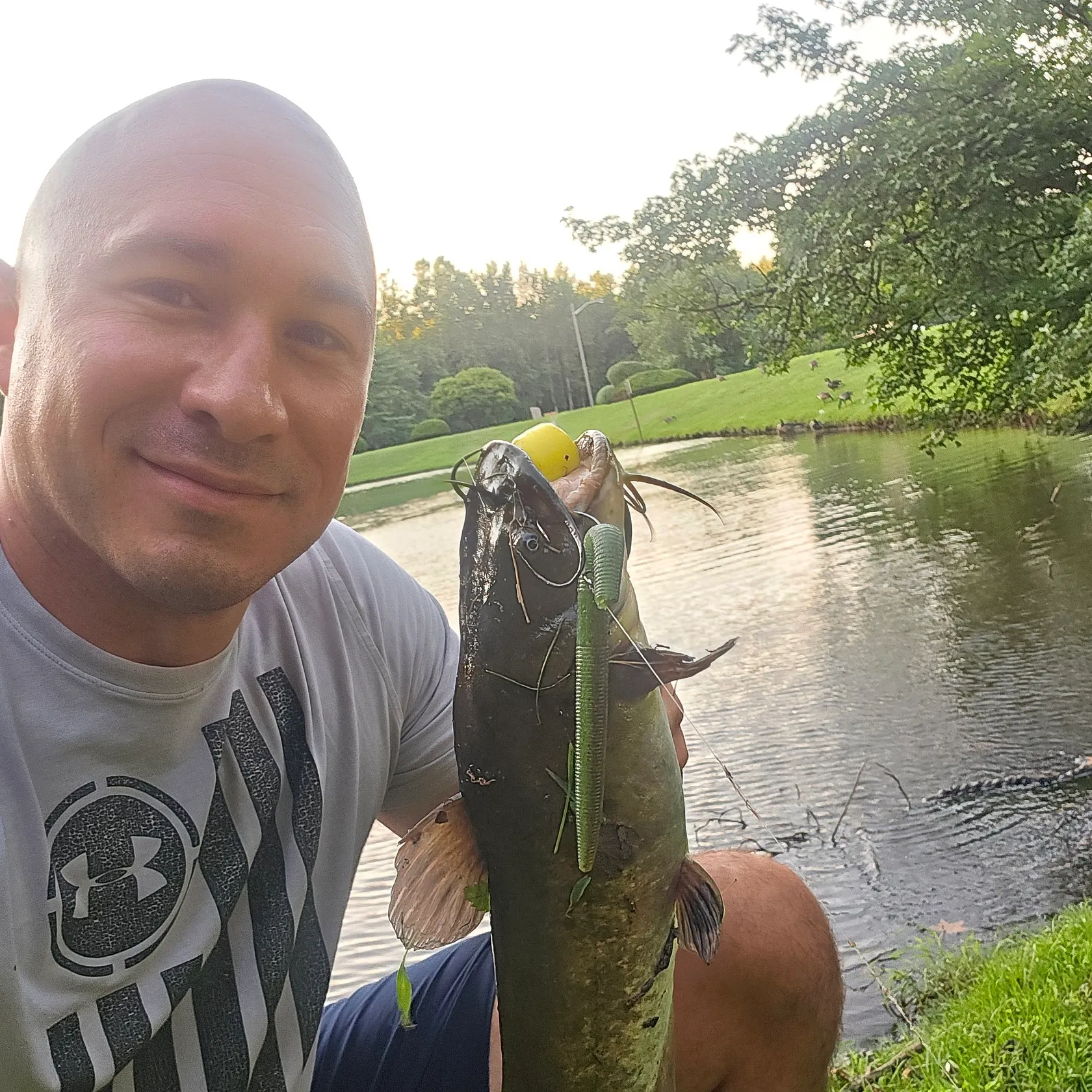 The most recent Spotted bullhead catches on Fishbrain