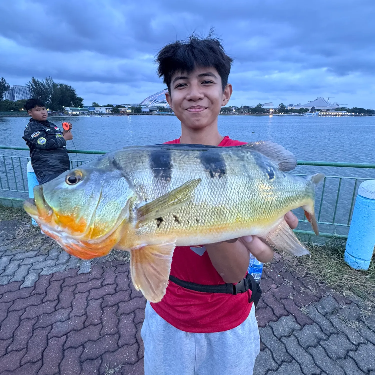 catch