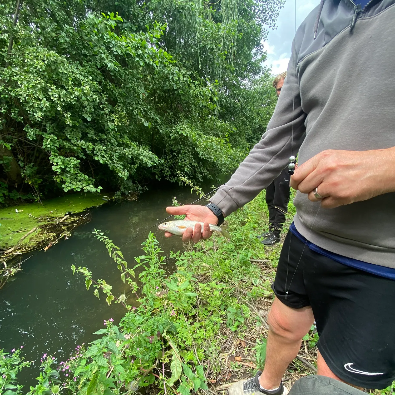 The most recent Common dace catches on Fishbrain