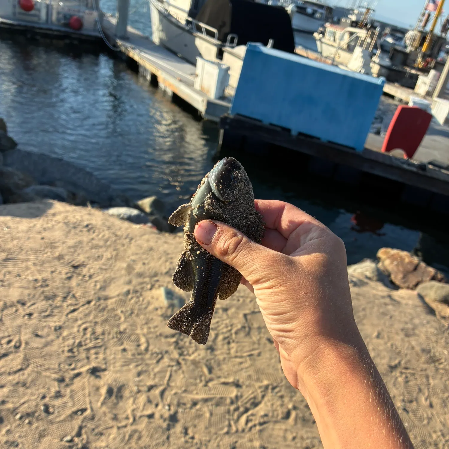 catch