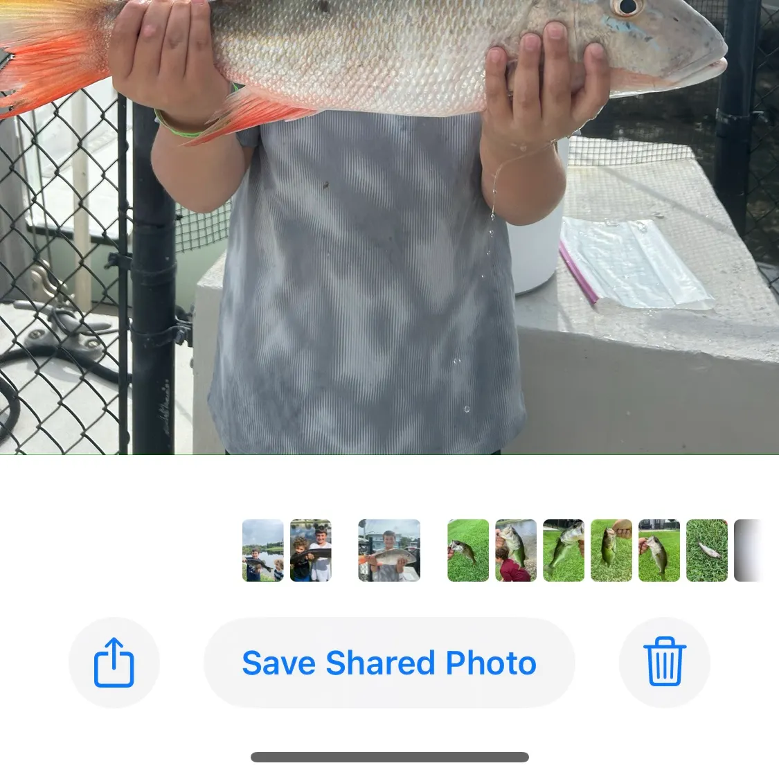 recently logged catches