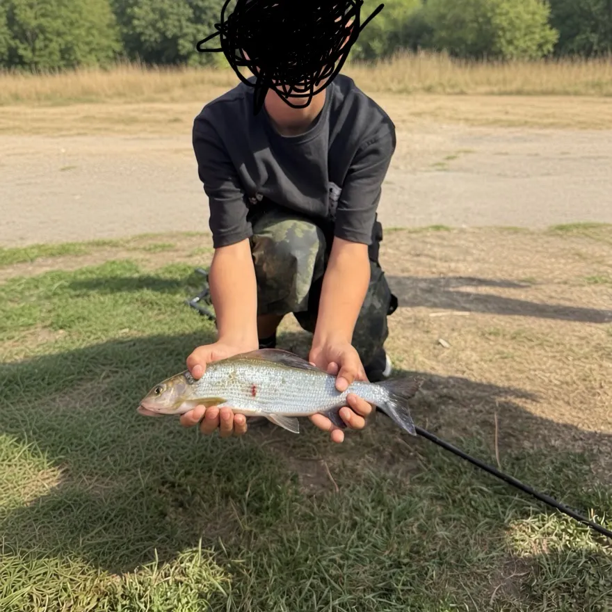 European grayling caught on Fishbrain