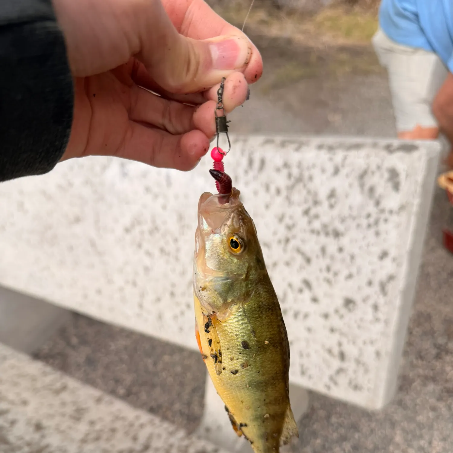 catch