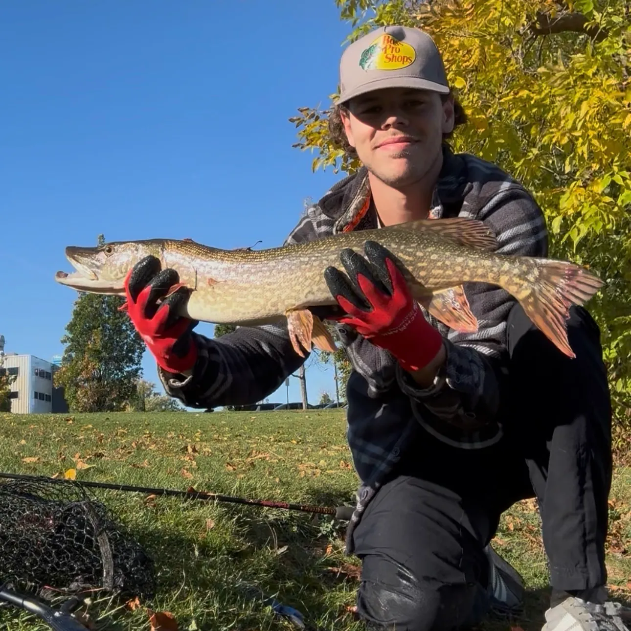 Northern pike caught on Fishbrain