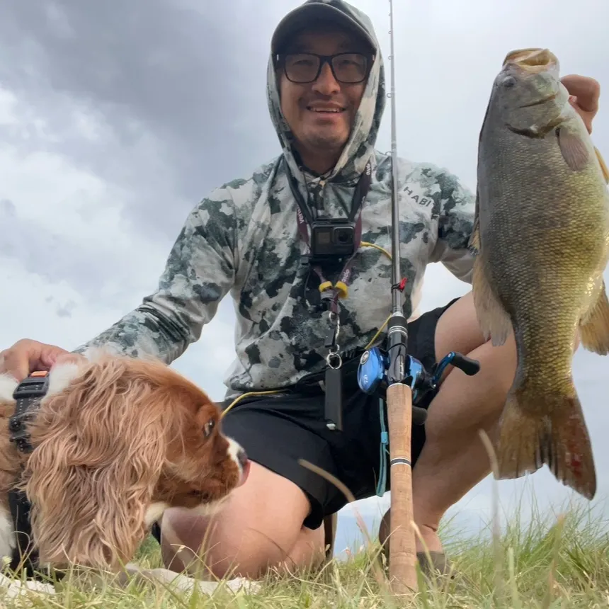 The most recent Smallmouth bass catches on Fishbrain