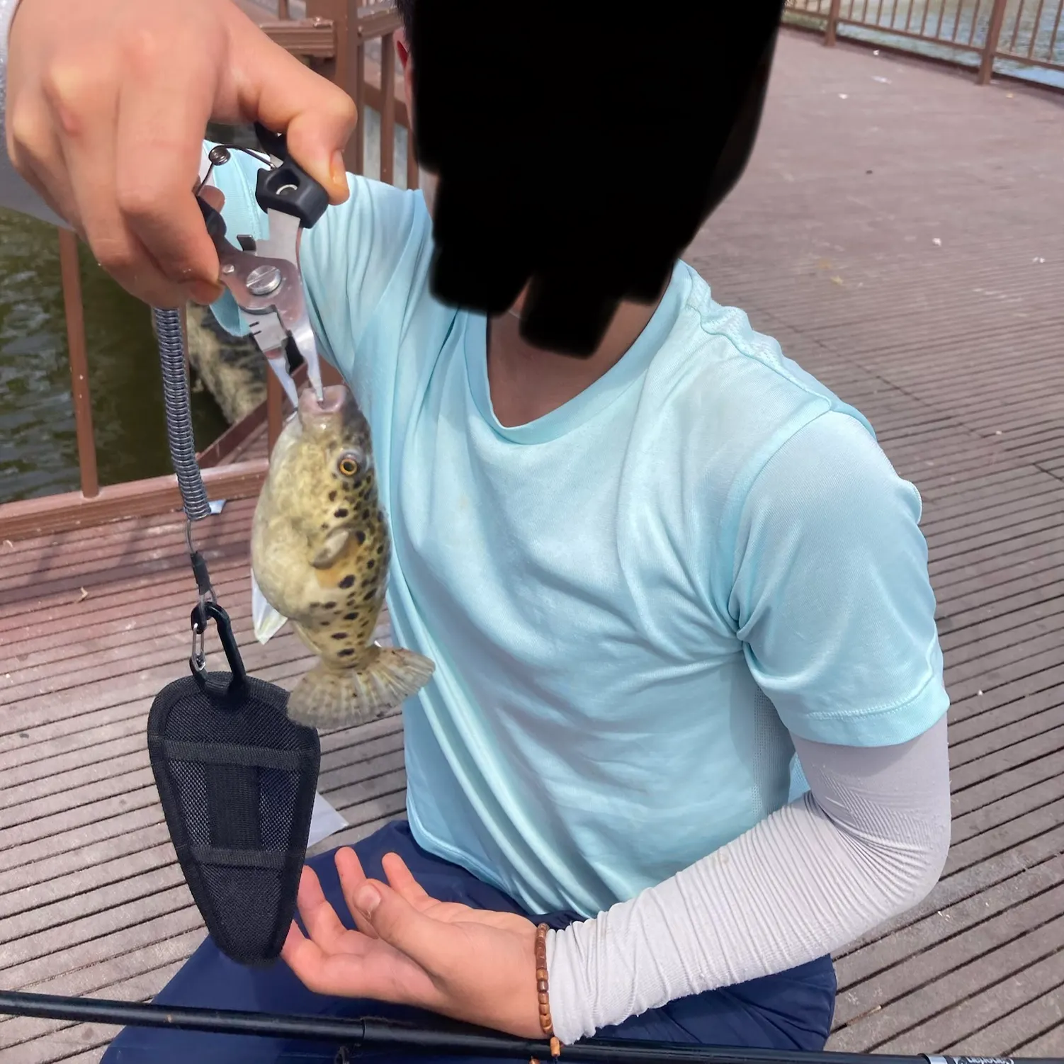 The most recent Spotted green pufferfish catches on Fishbrain