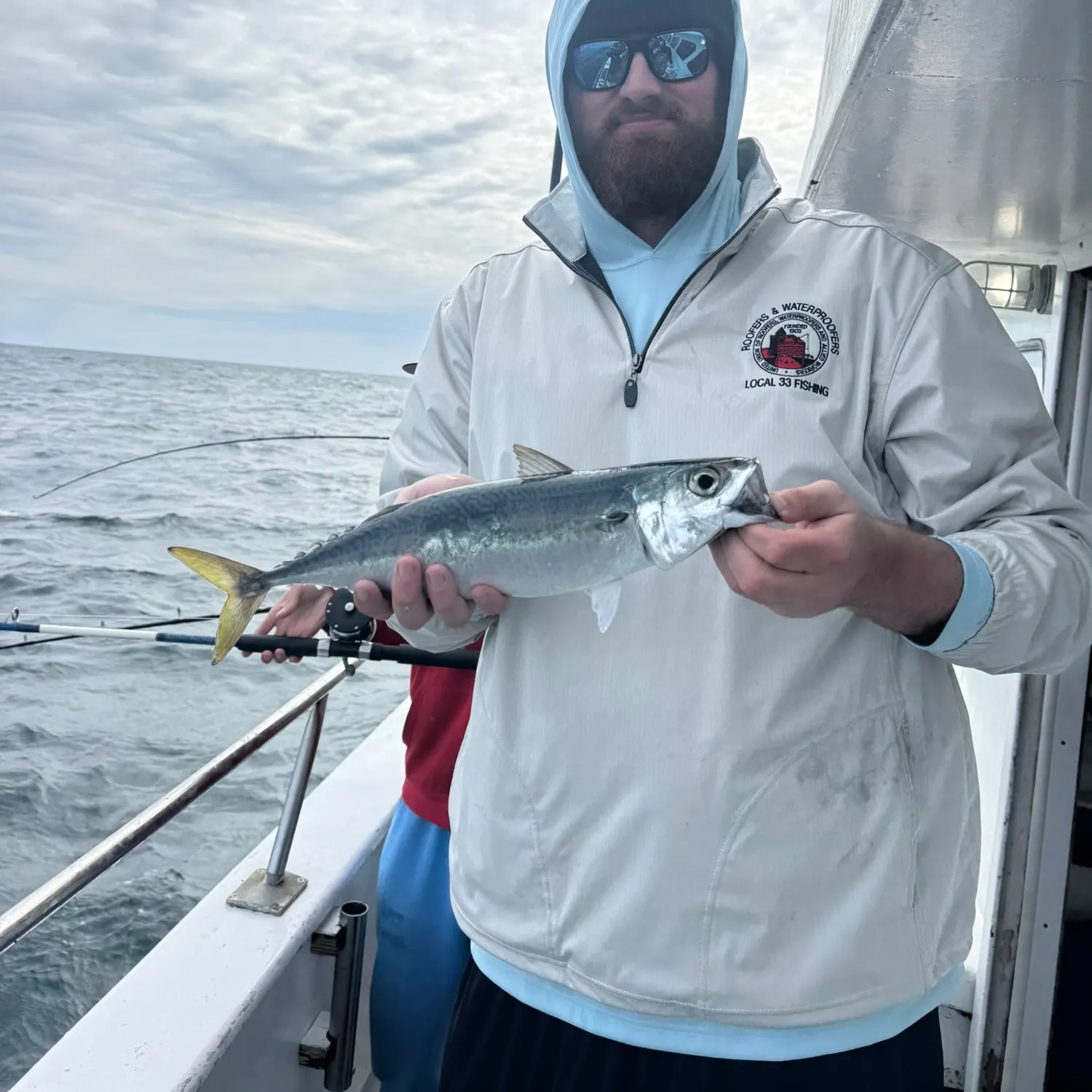 Pacific chub mackerel caught on Fishbrain