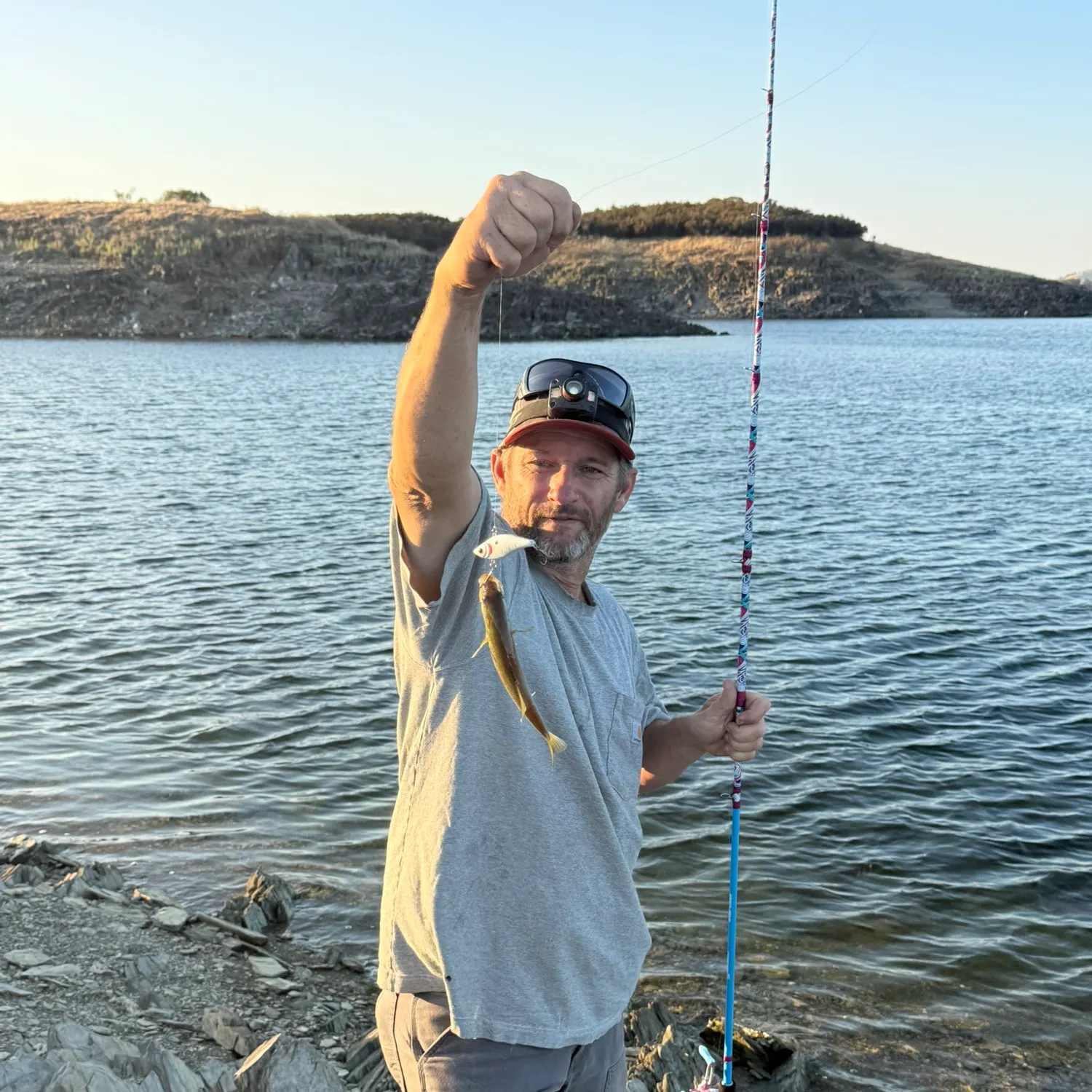 Spotted bass caught on Fishbrain
