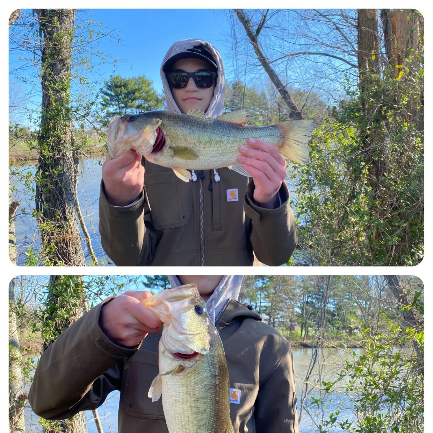 recently logged catches