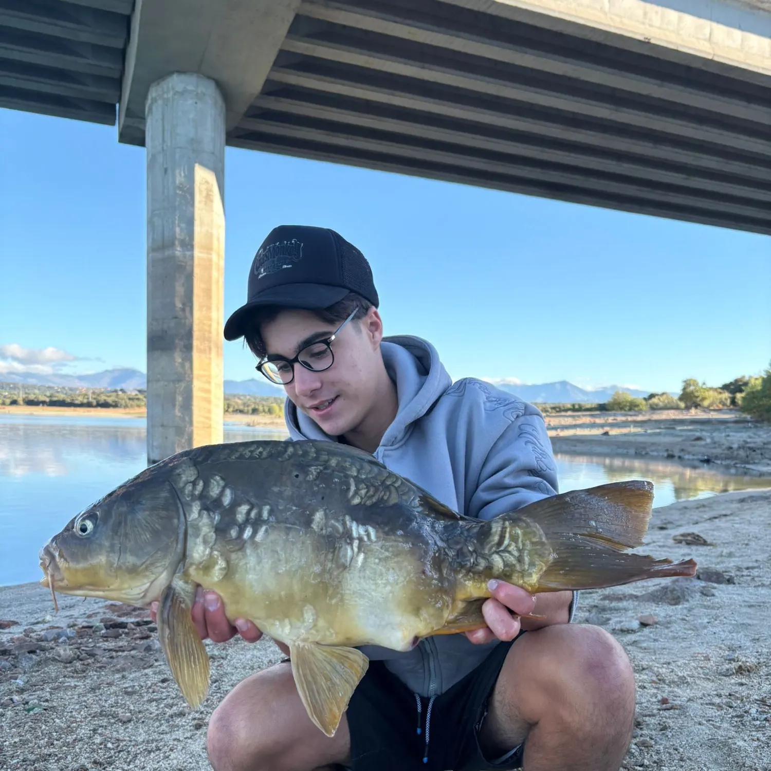 Mirror carp caught on Fishbrain