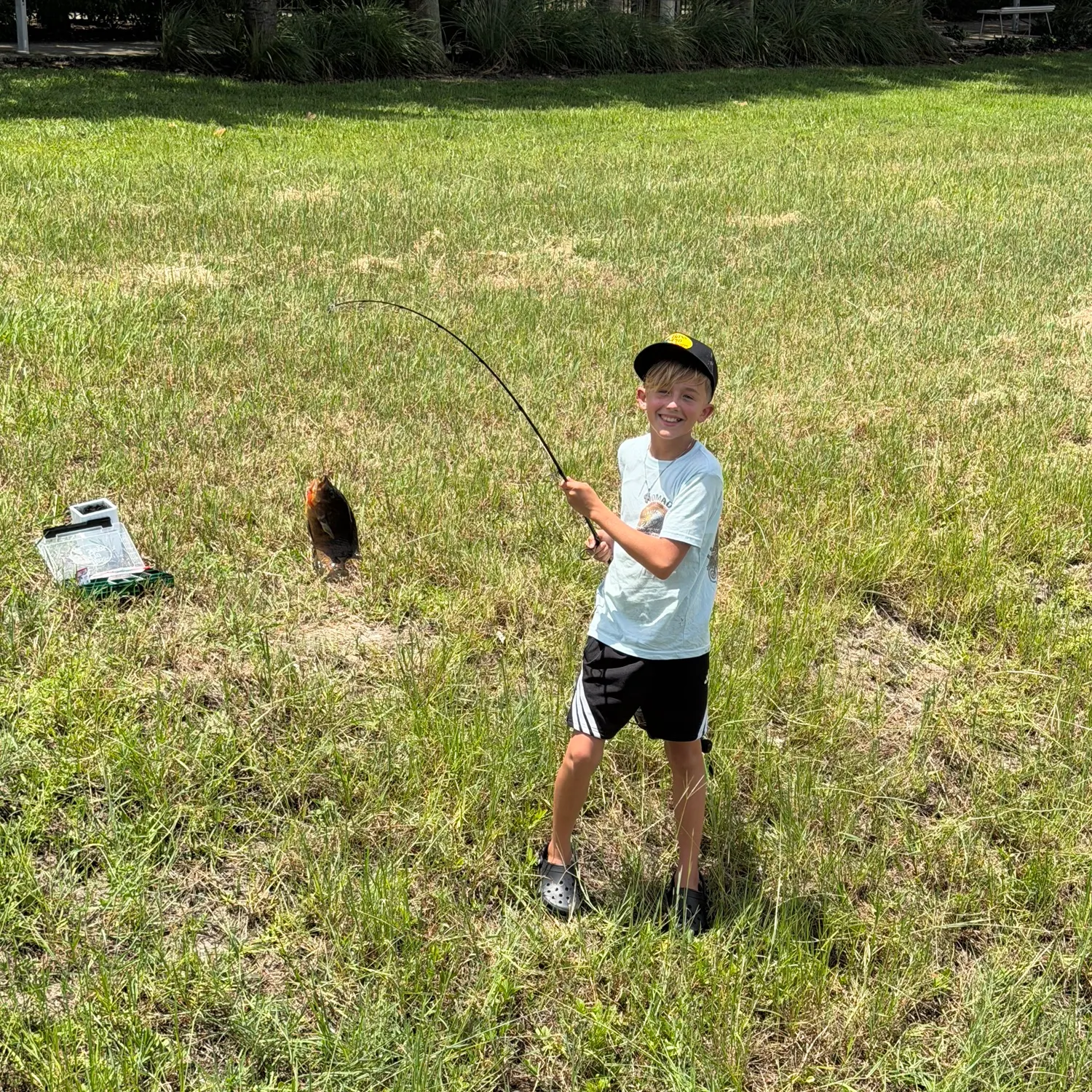 Mayan cichlid caught on Fishbrain