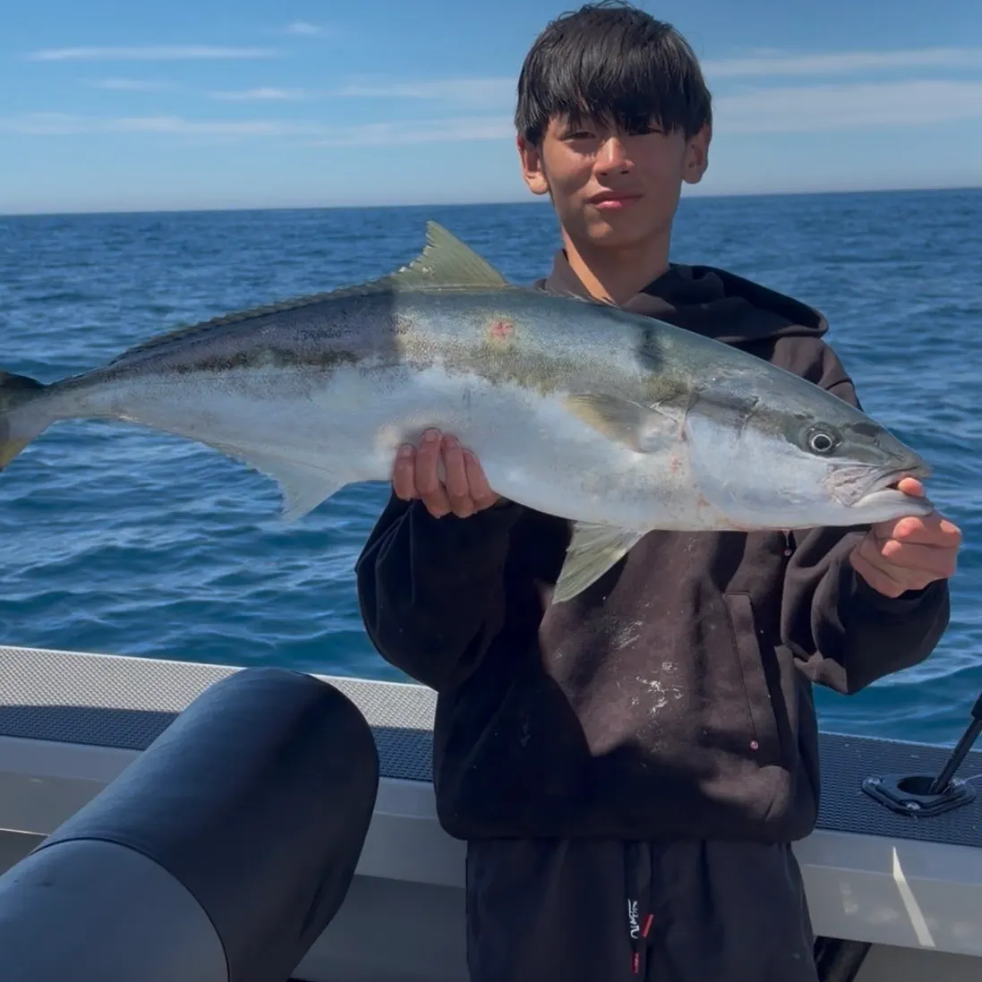 The most recent Southern yellowtail amberjack catches on Fishbrain