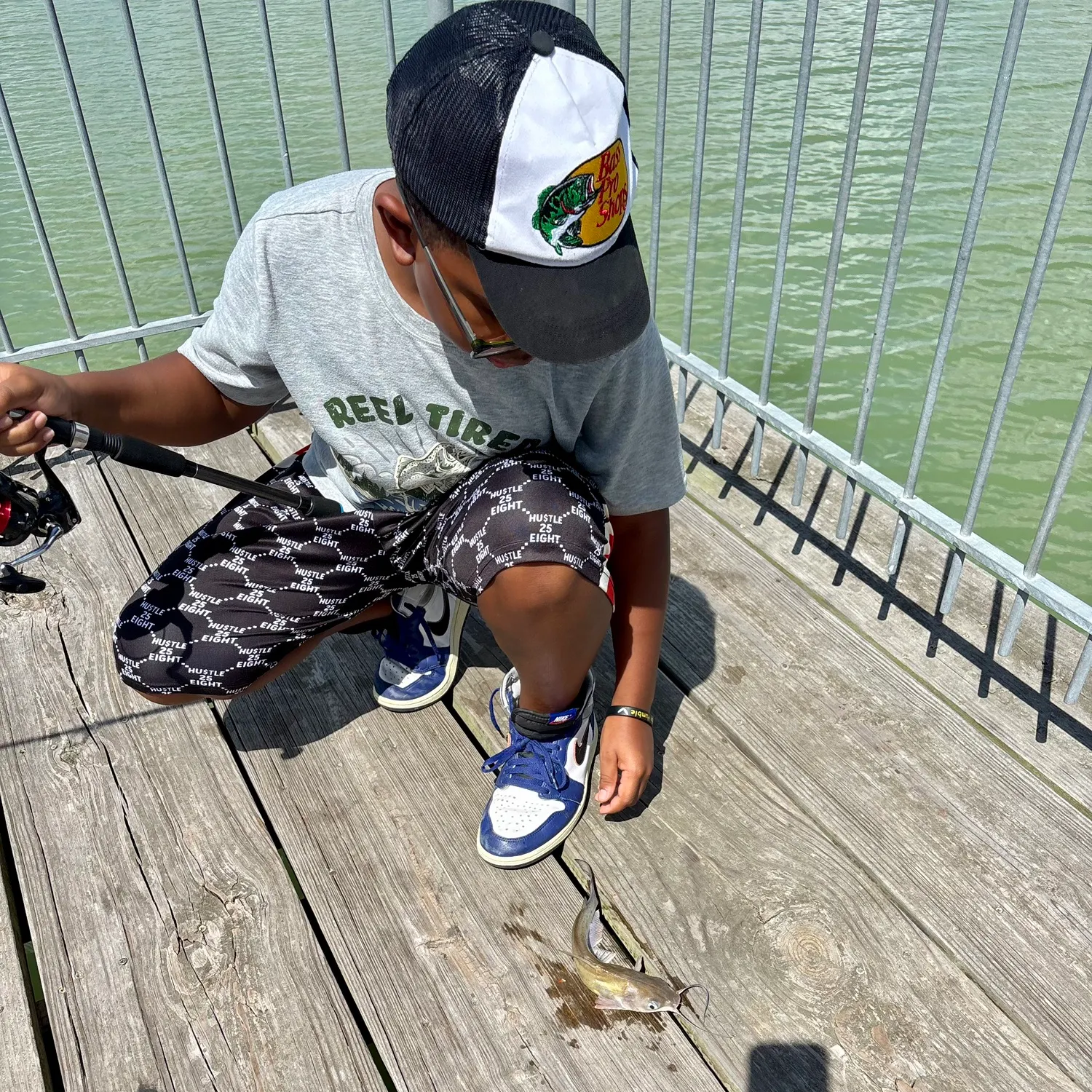 Blue catfish caught on Fishbrain