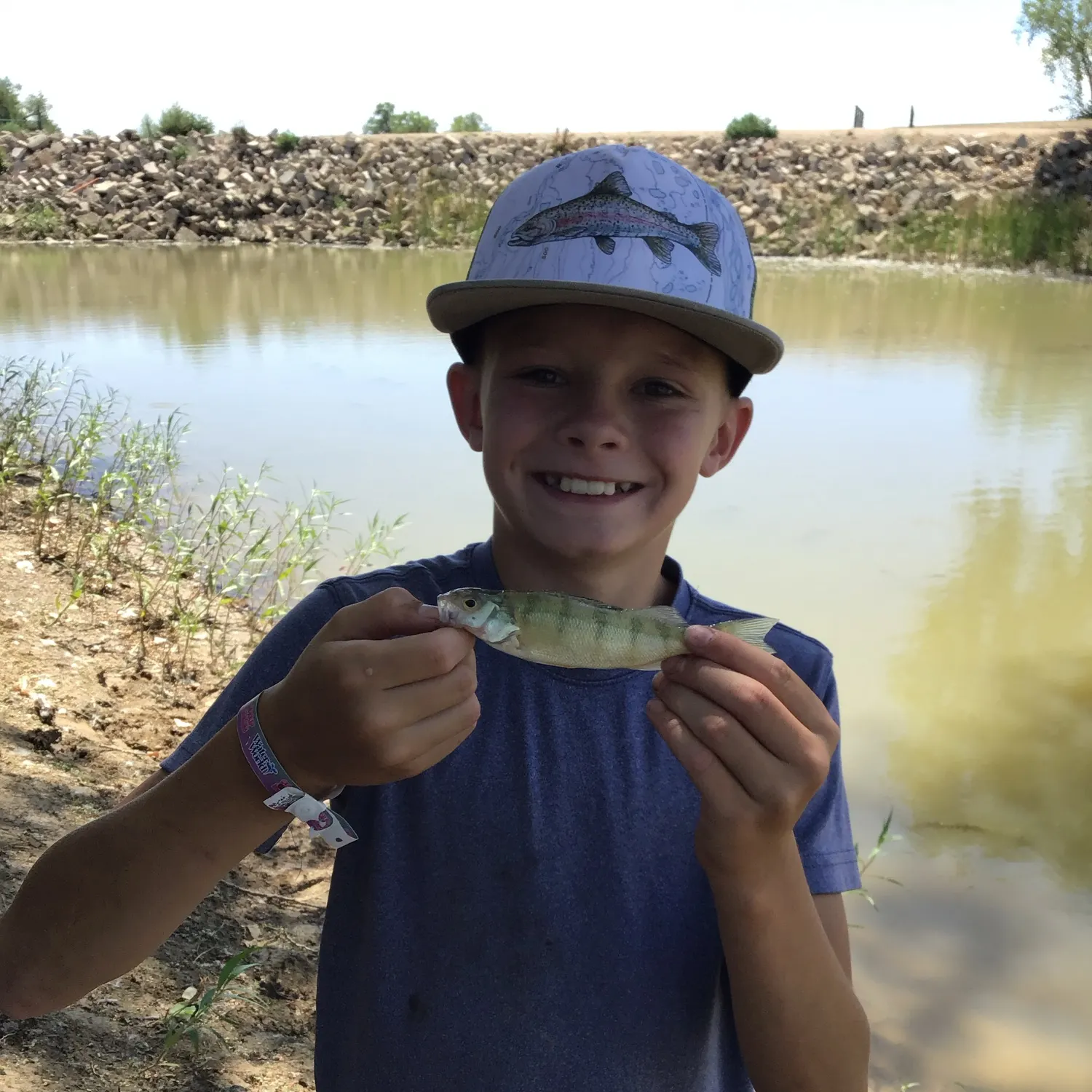 European perch caught on Fishbrain
