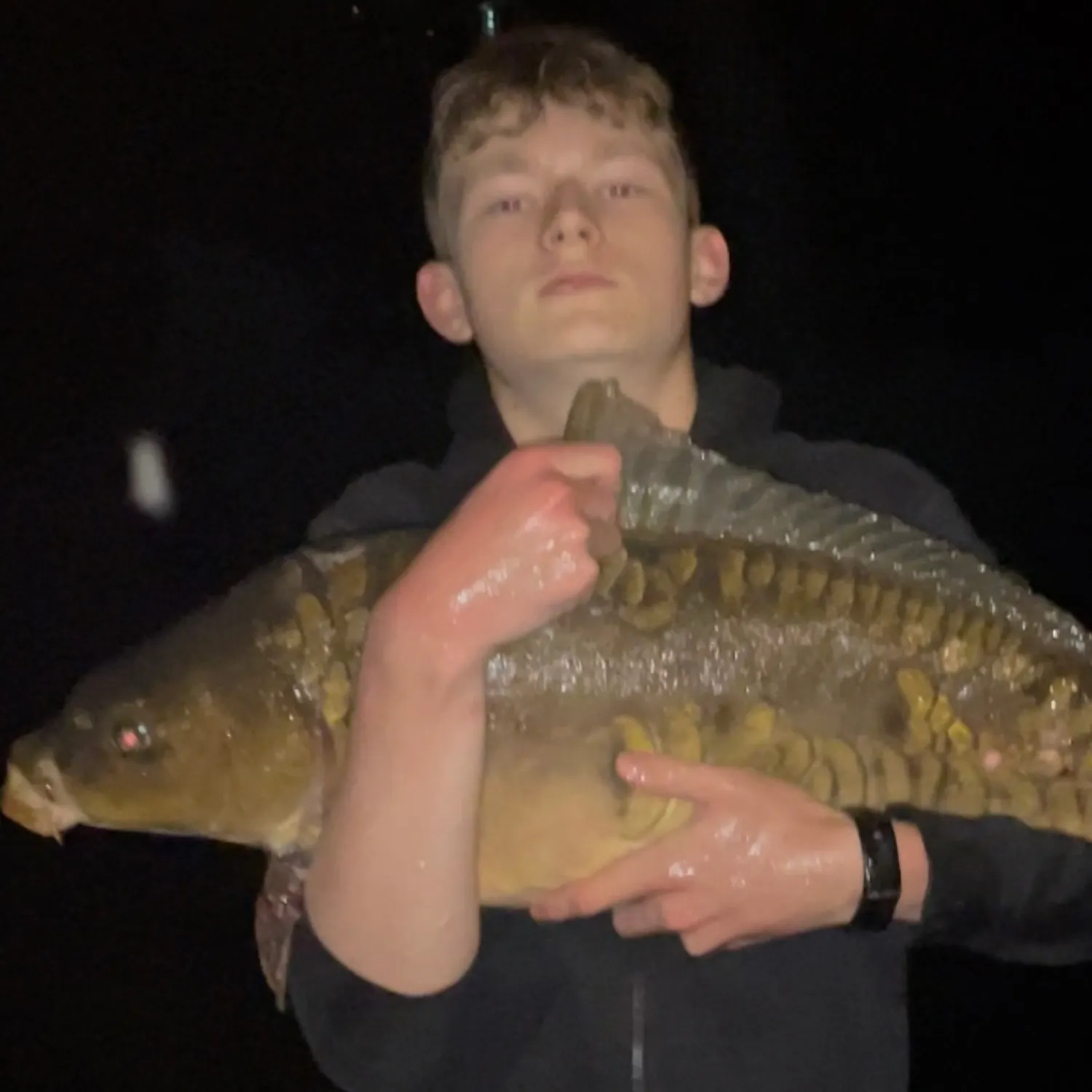 The most recent Mirror carp catches on Fishbrain