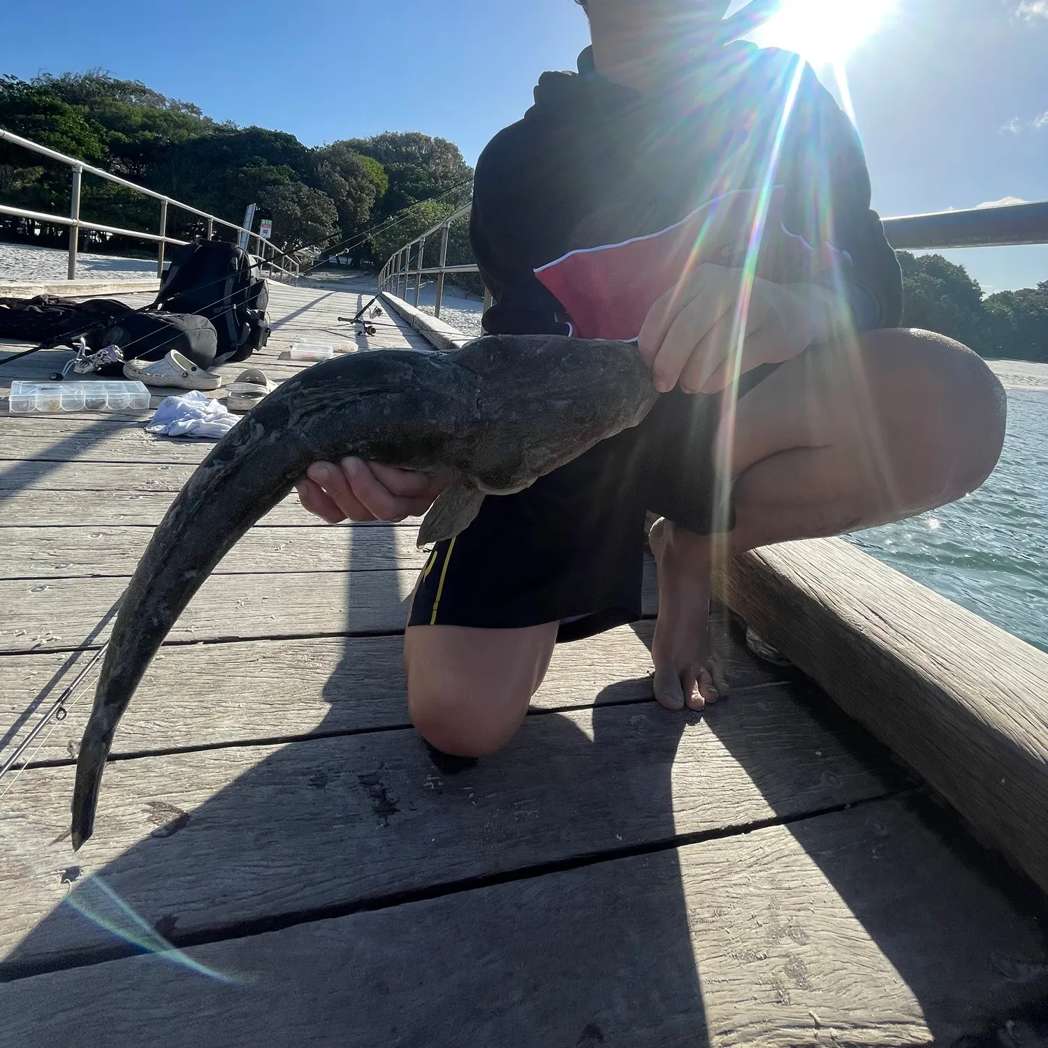 catch