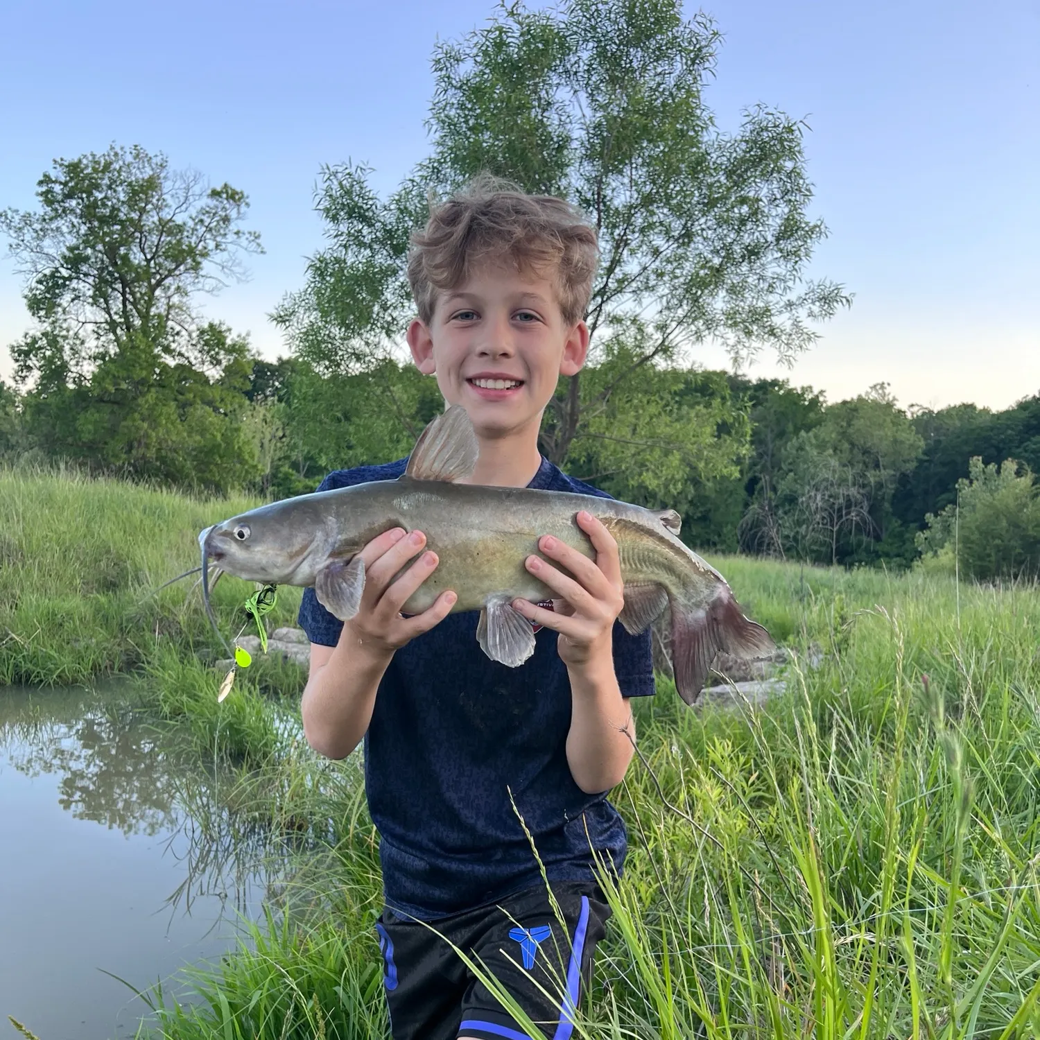 Channel catfish caught on Fishbrain