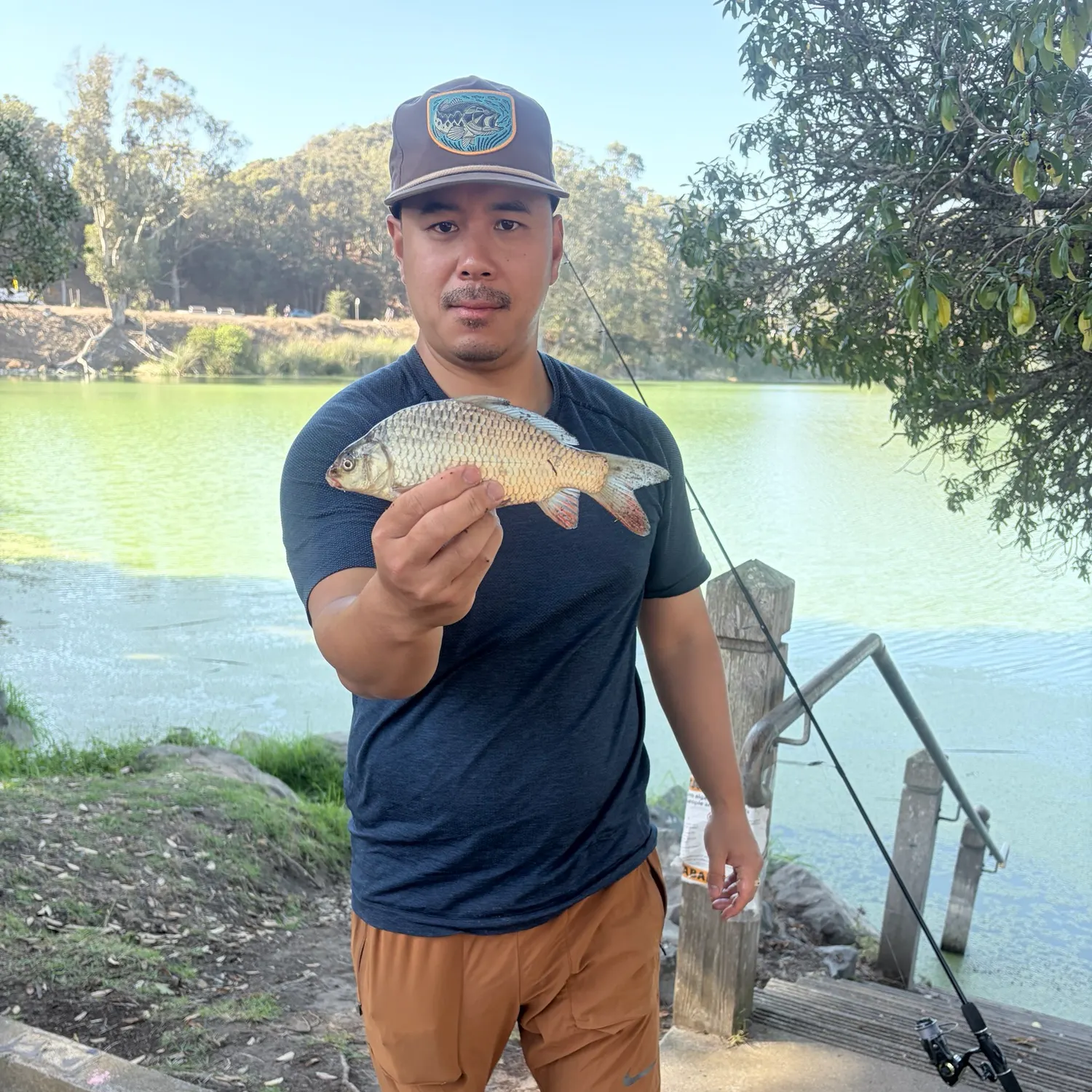 The most recent Crucian carp catches on Fishbrain