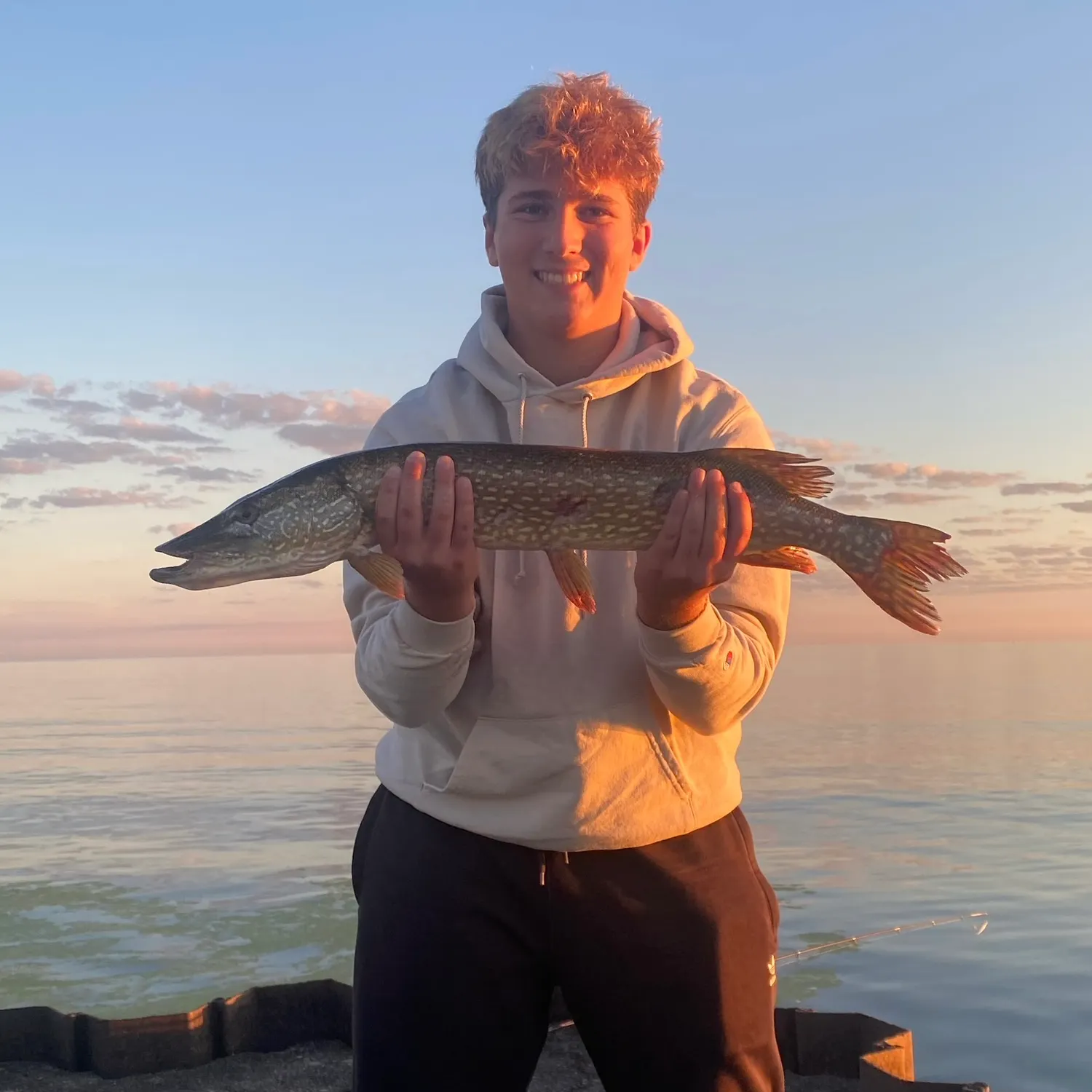 Northern pike caught on Fishbrain