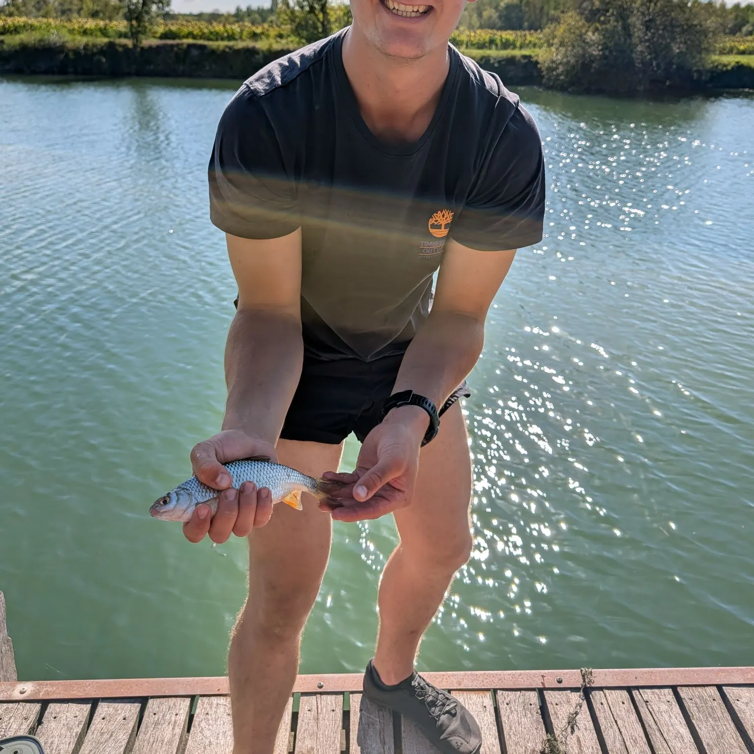 Common roach caught on Fishbrain