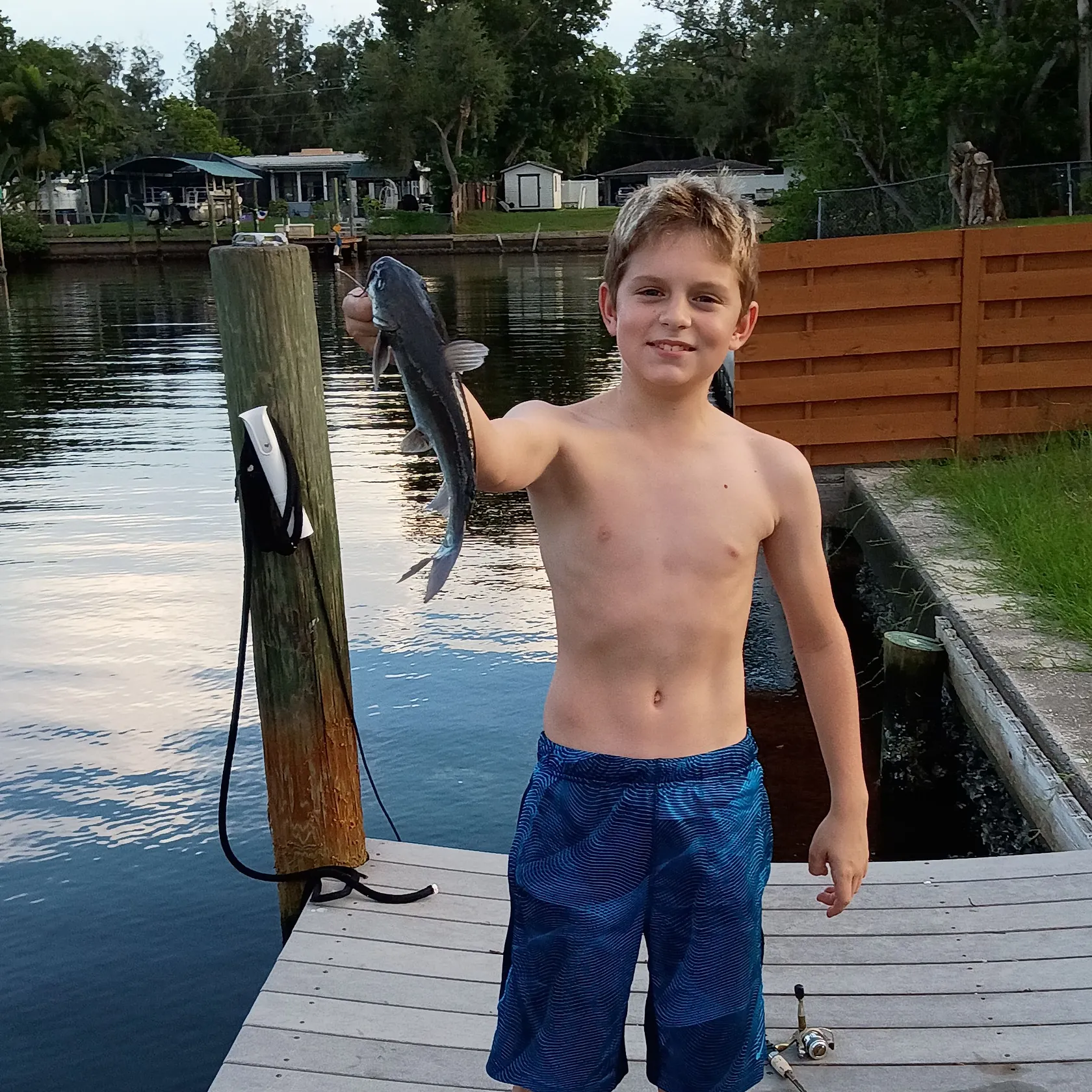 Hardhead sea catfish caught on Fishbrain