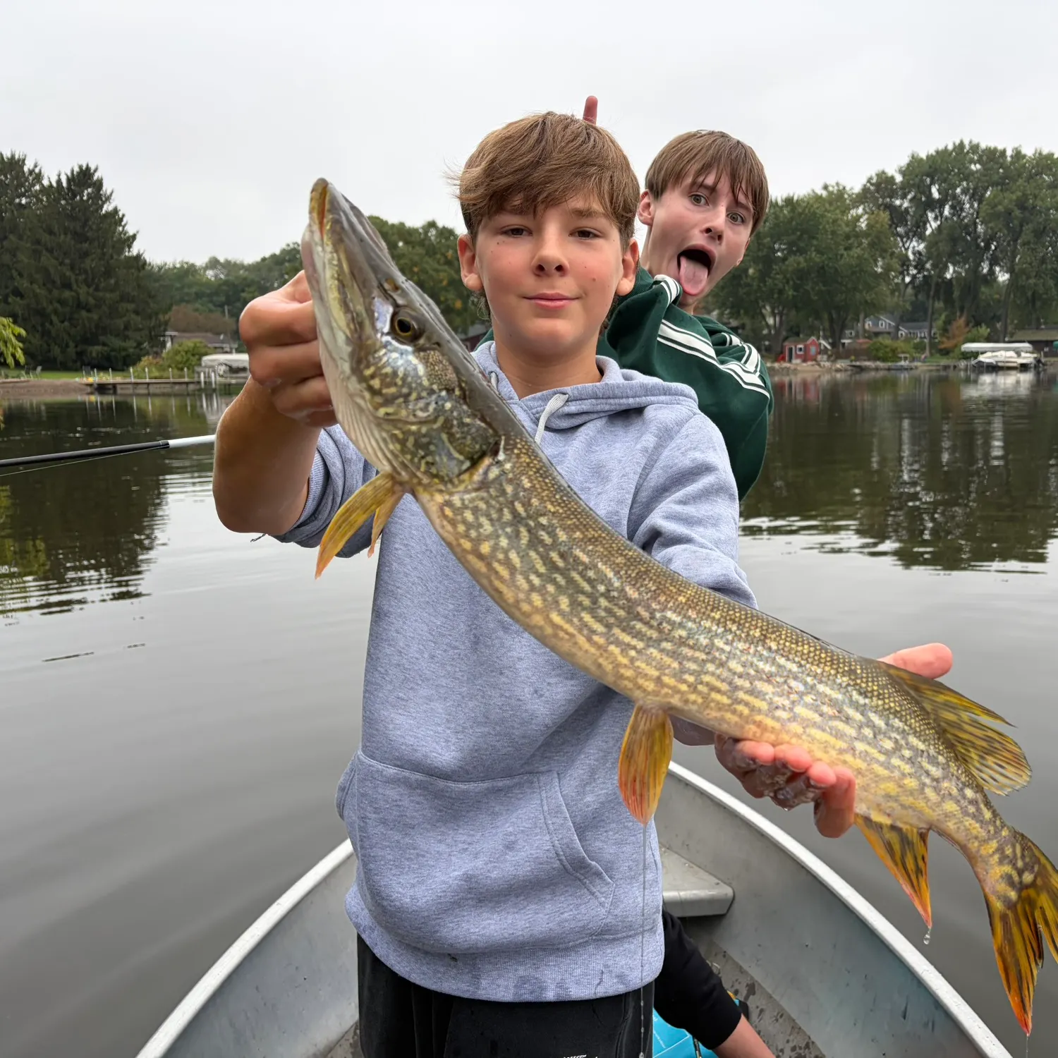 Northern pike caught on Fishbrain
