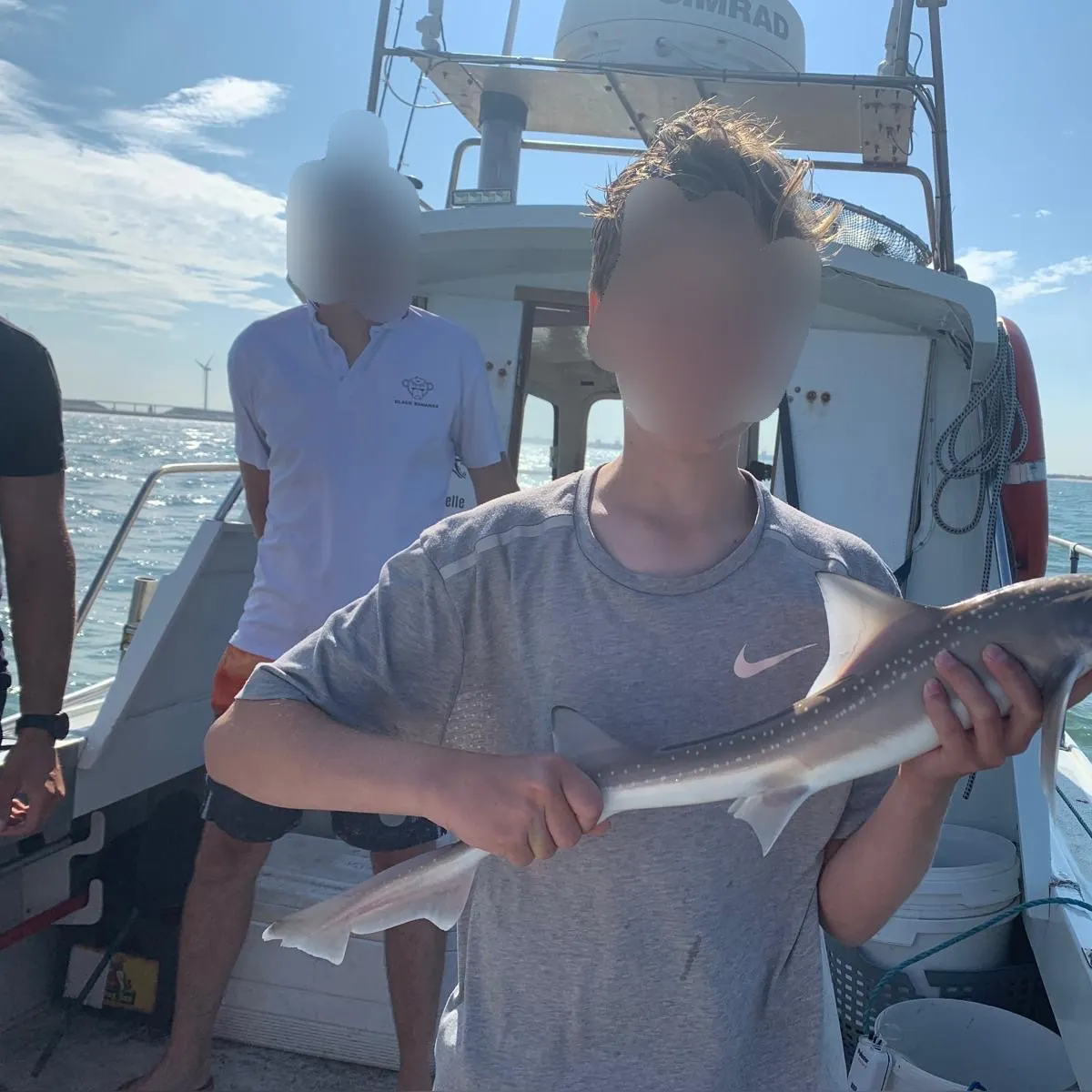 Starry smooth-hound caught on Fishbrain