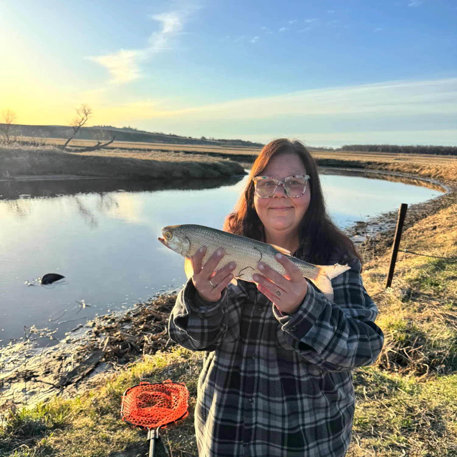 The most recent Goldeye catches on Fishbrain