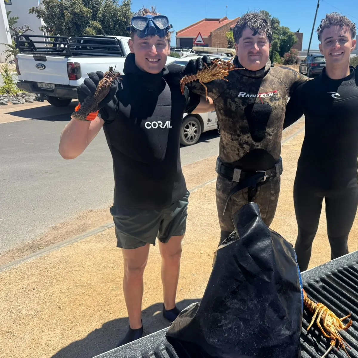 The most recent Southern rock lobster catches on Fishbrain