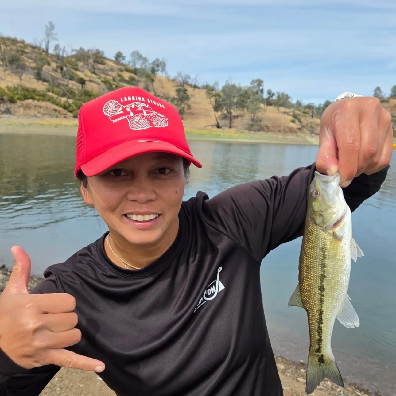 The most recent Spotted bass catches on Fishbrain