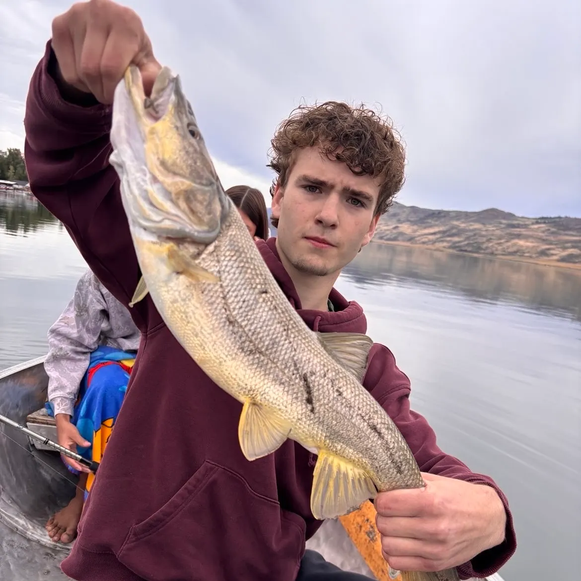 Northern pikeminnow caught on Fishbrain