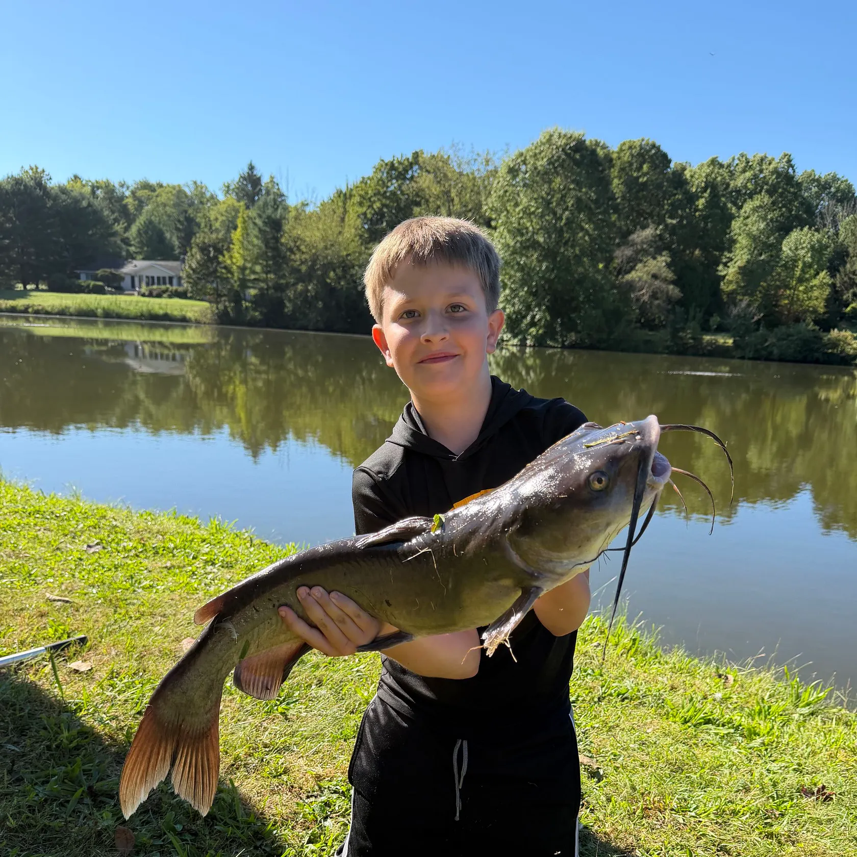 Channel catfish caught on Fishbrain